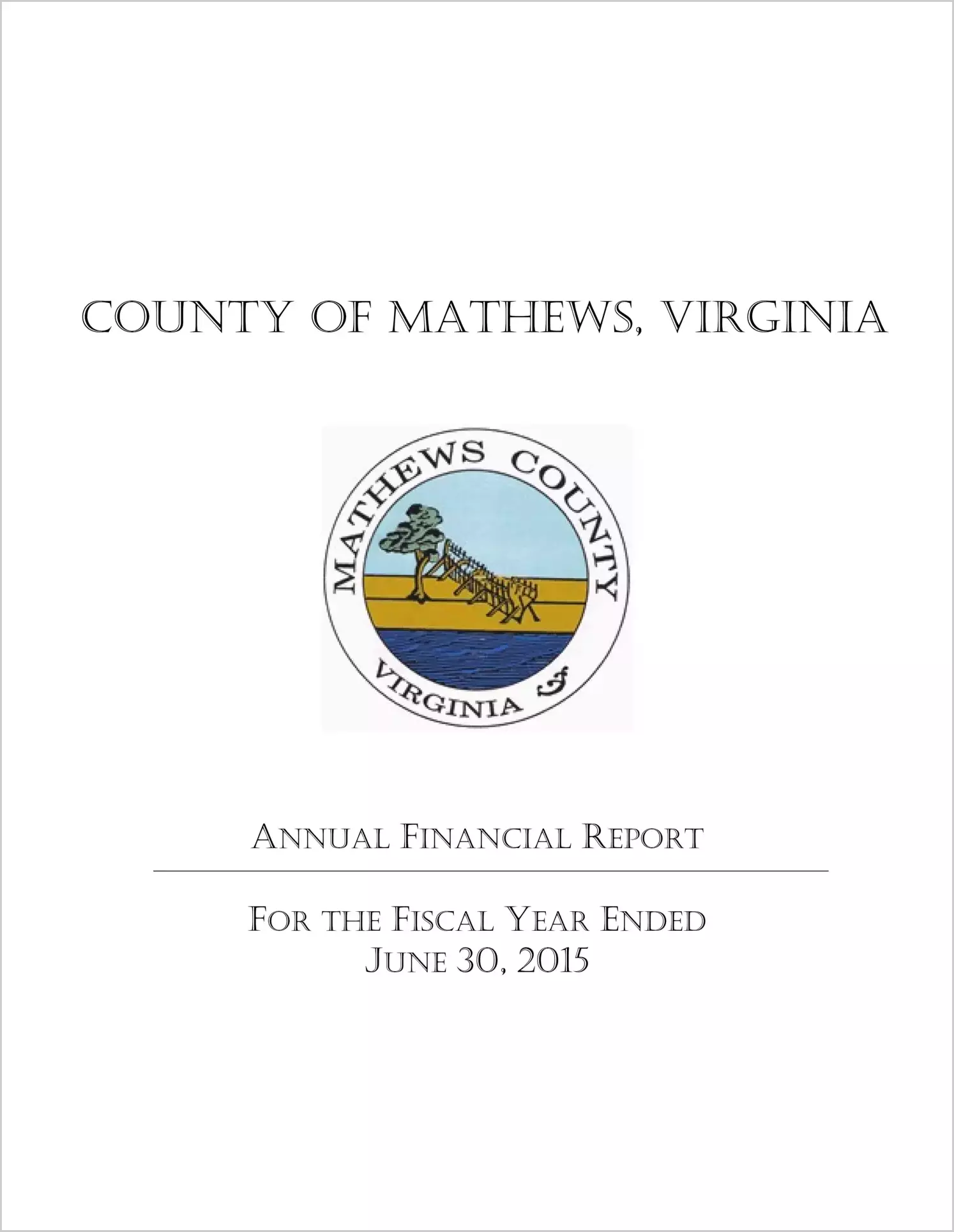 2015 Annual Financial Report for County of Mathews