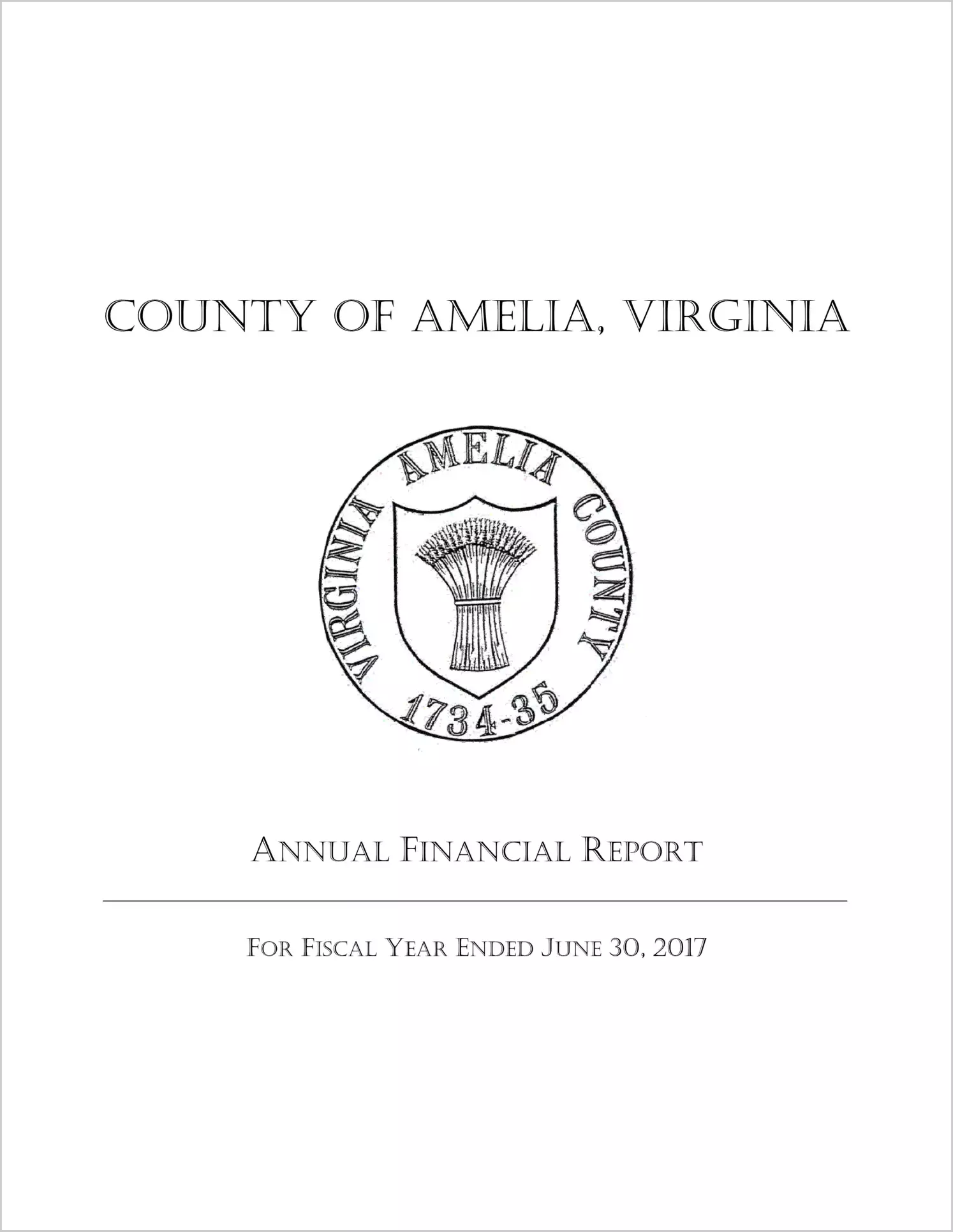 2017 Annual Financial Report for County of Amelia