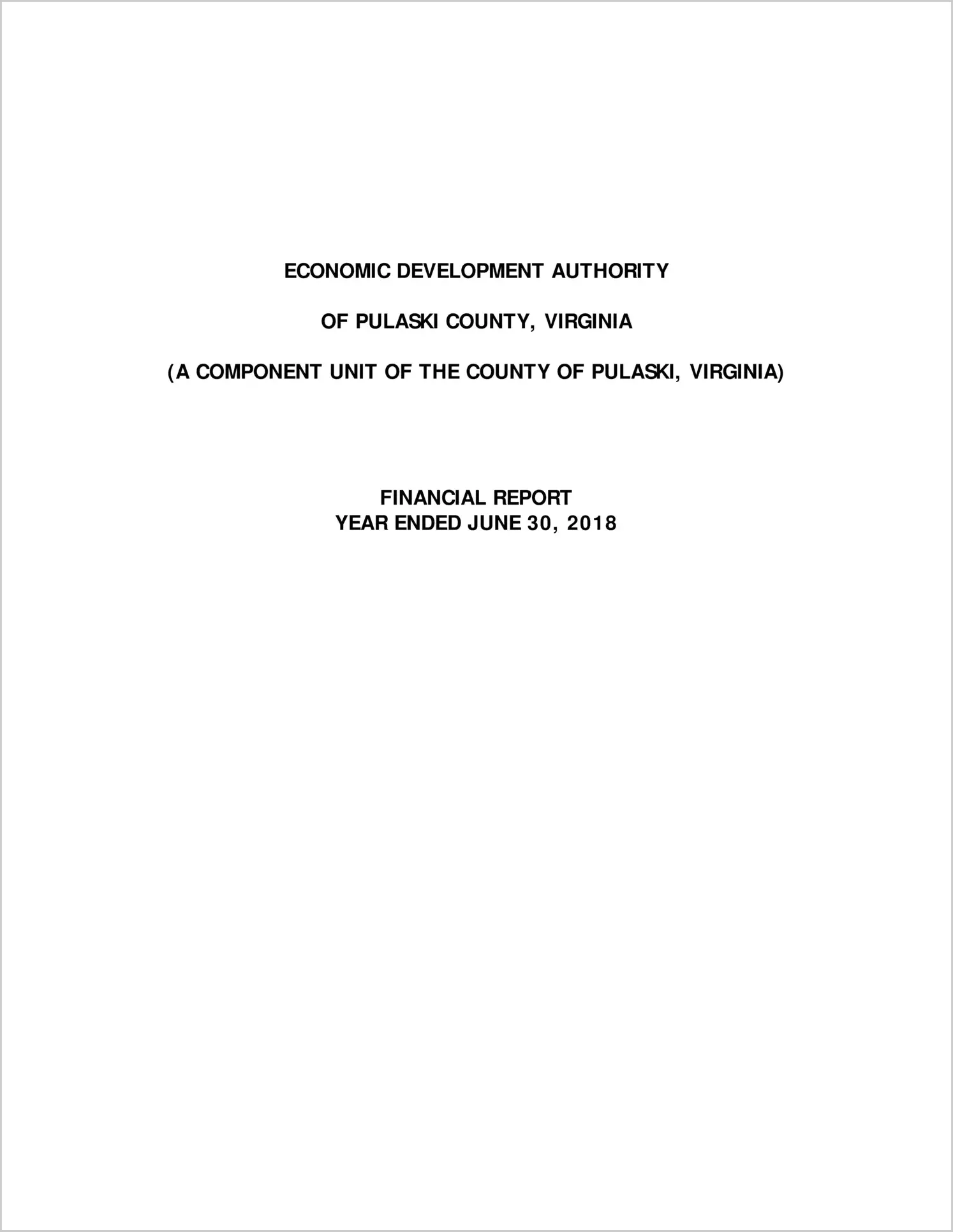 preview of 2018 ABC/Other Annual Financial Report for Pulaski County Economic Development Authority