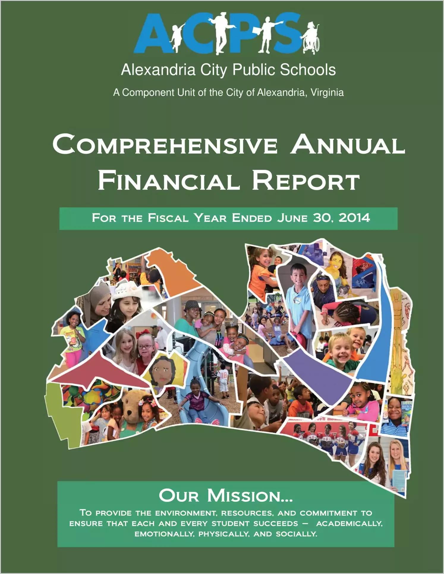2014 Public Schools Annual Financial Report for City of Alexandria