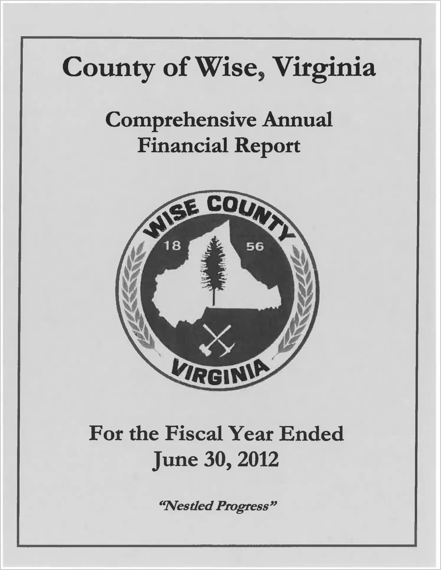 2012 Annual Financial Report for County of Wise