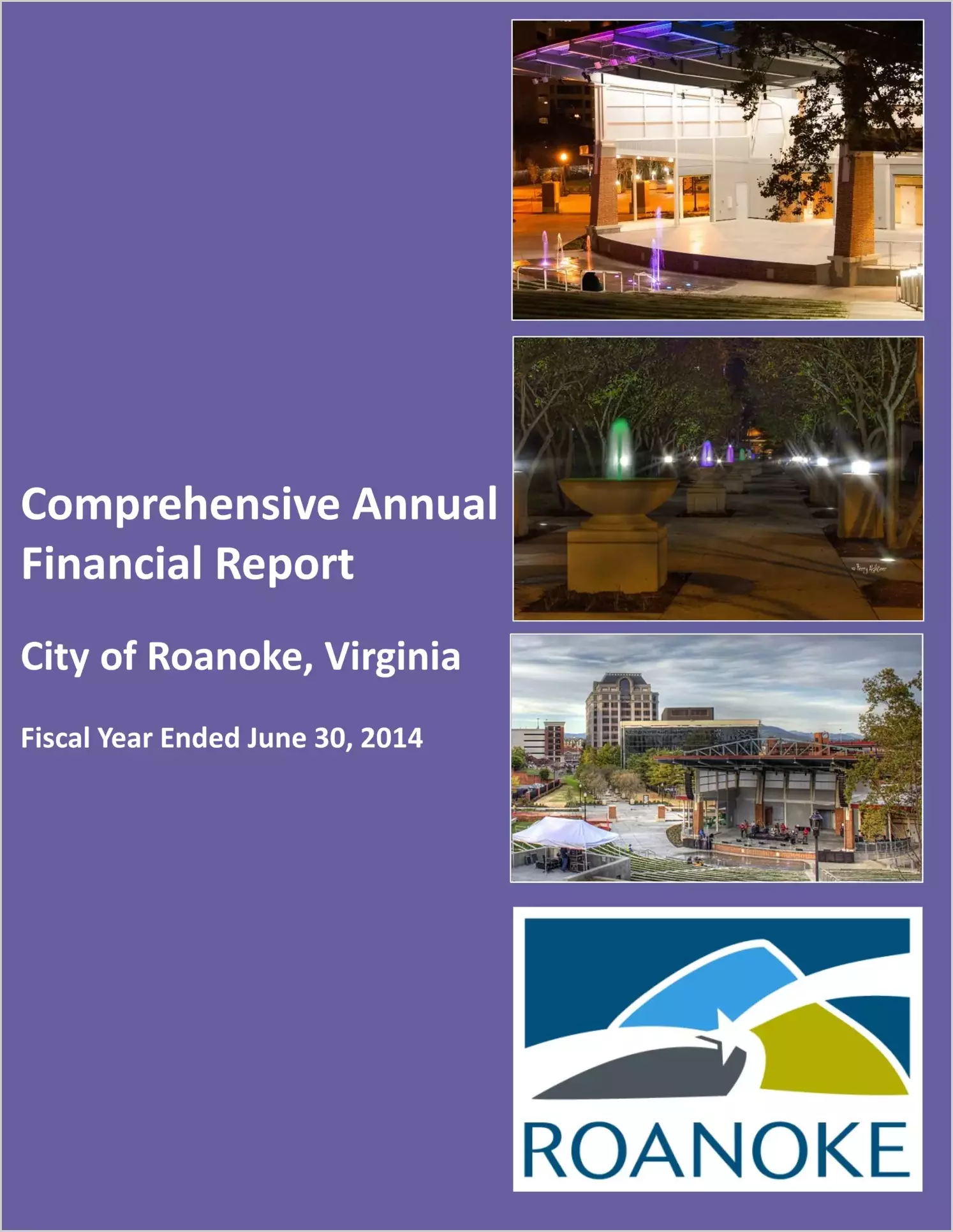 2014 Annual Financial Report for City of Roanoke