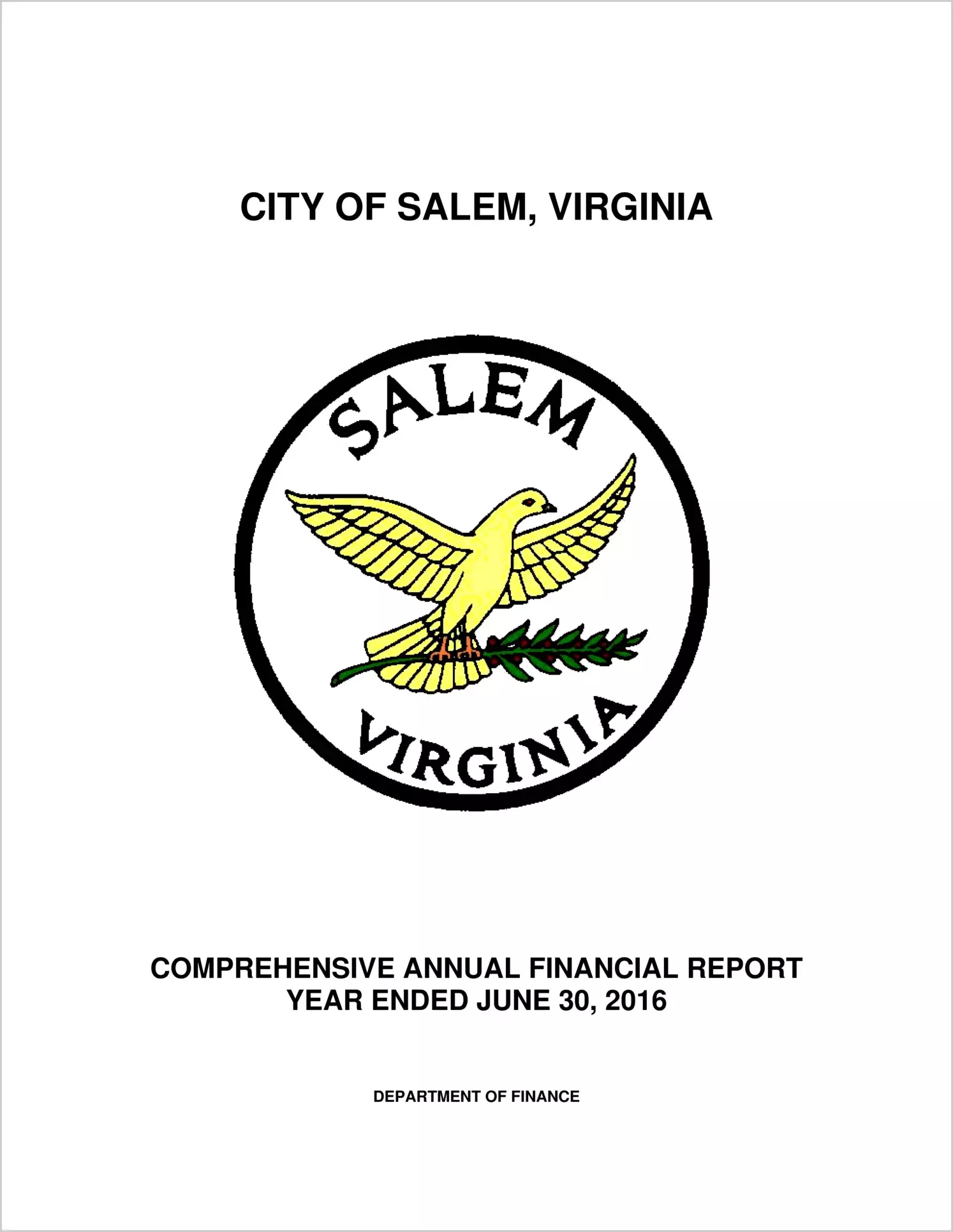 2016 Annual Financial Report for City of Salem