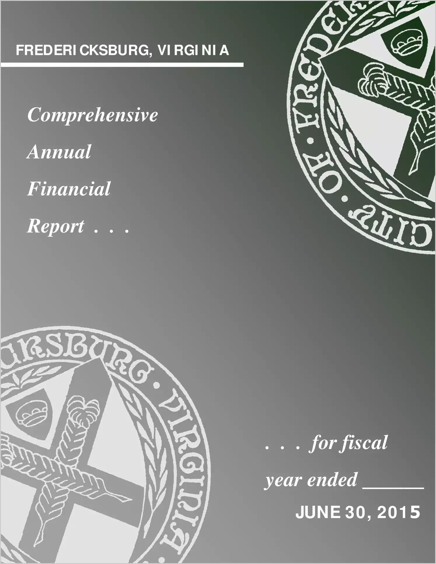 2015 Annual Financial Report for City of Fredericksburg