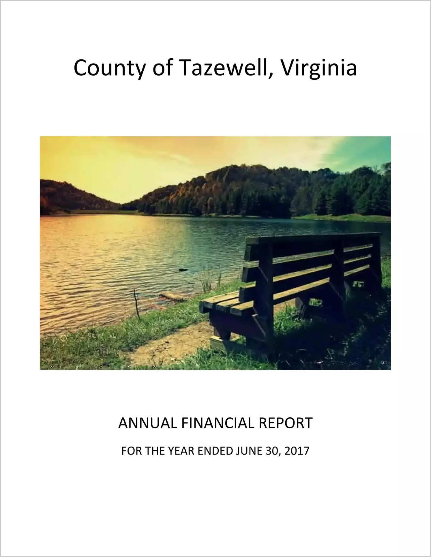 2017 Annual Financial Report for County of Tazewell