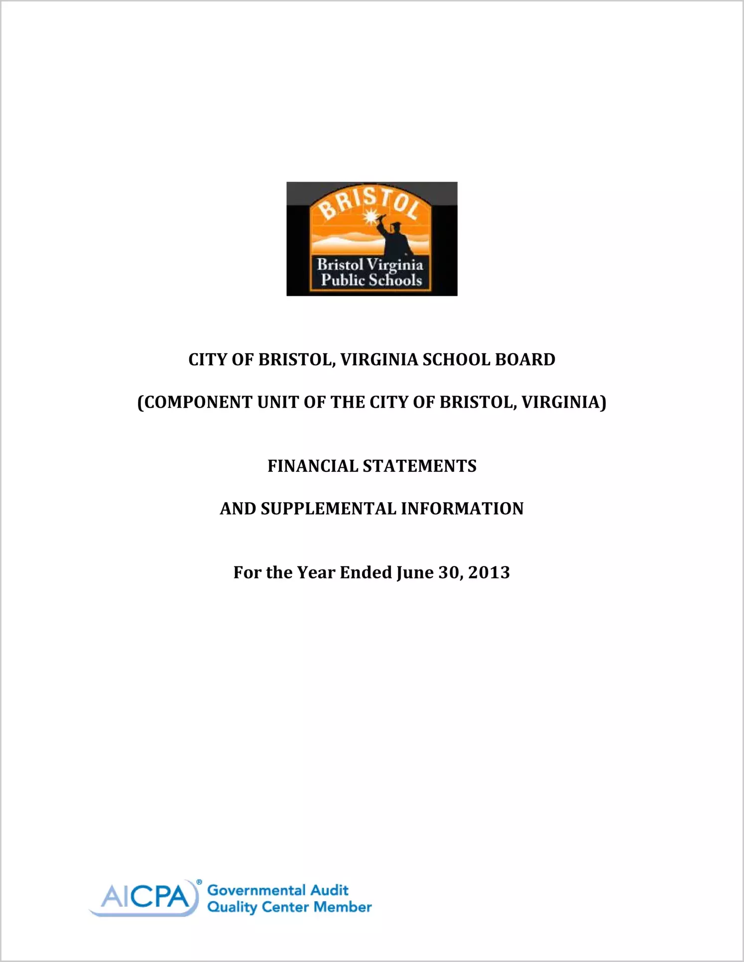 2013 Public Schools Annual Financial Report for City of Bristol