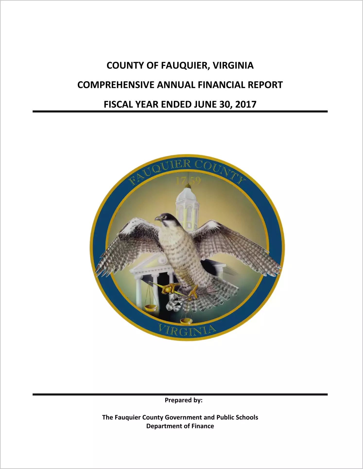 2017 Annual Financial Report for County of Fauquier