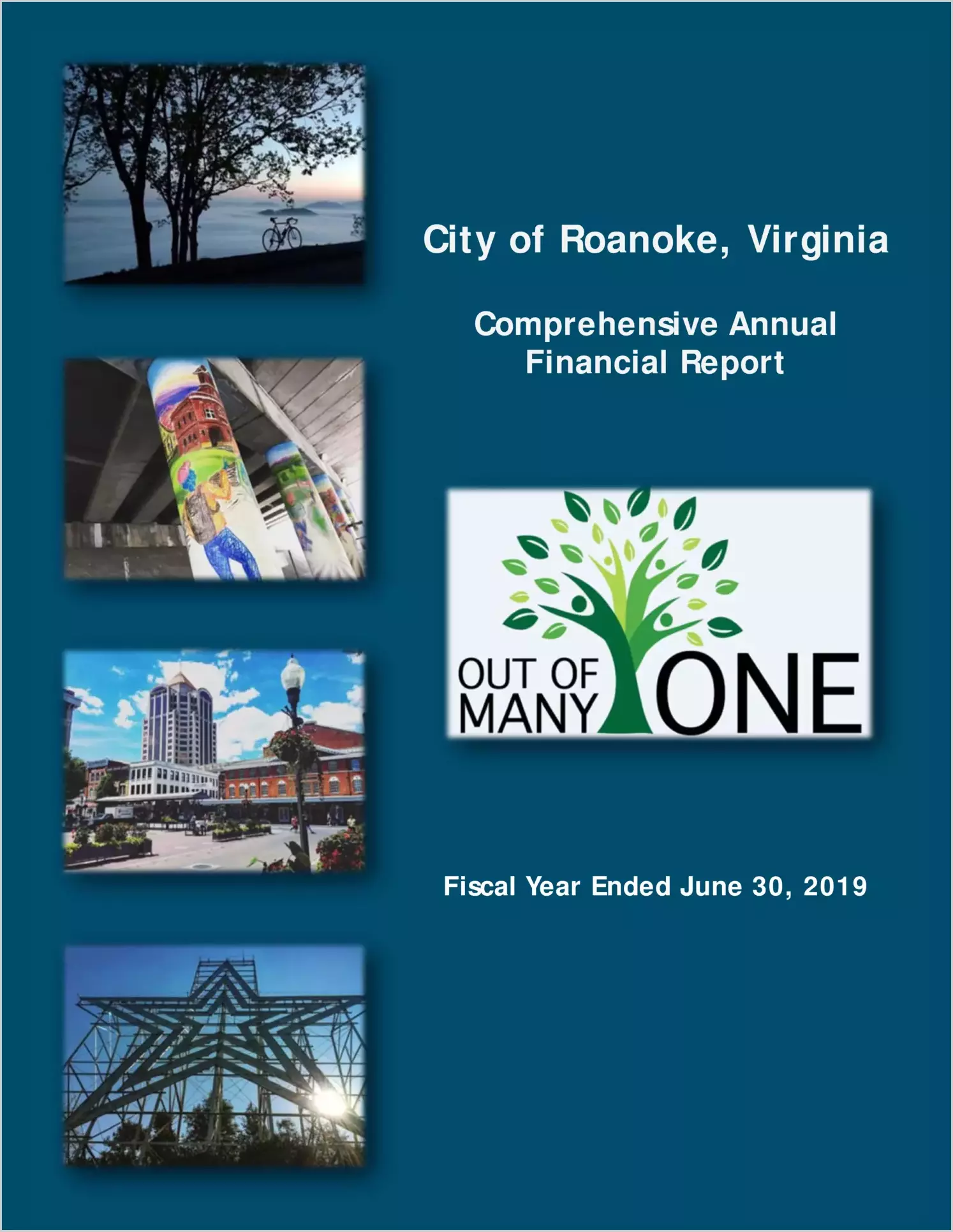 2019 Annual Financial Report for City of Roanoke