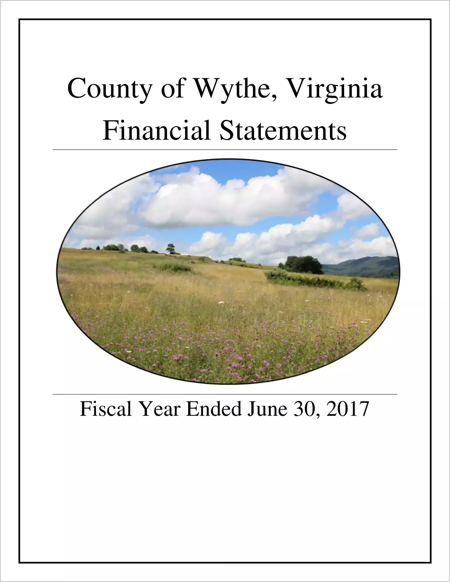 2017 Annual Financial Report for County of Wythe