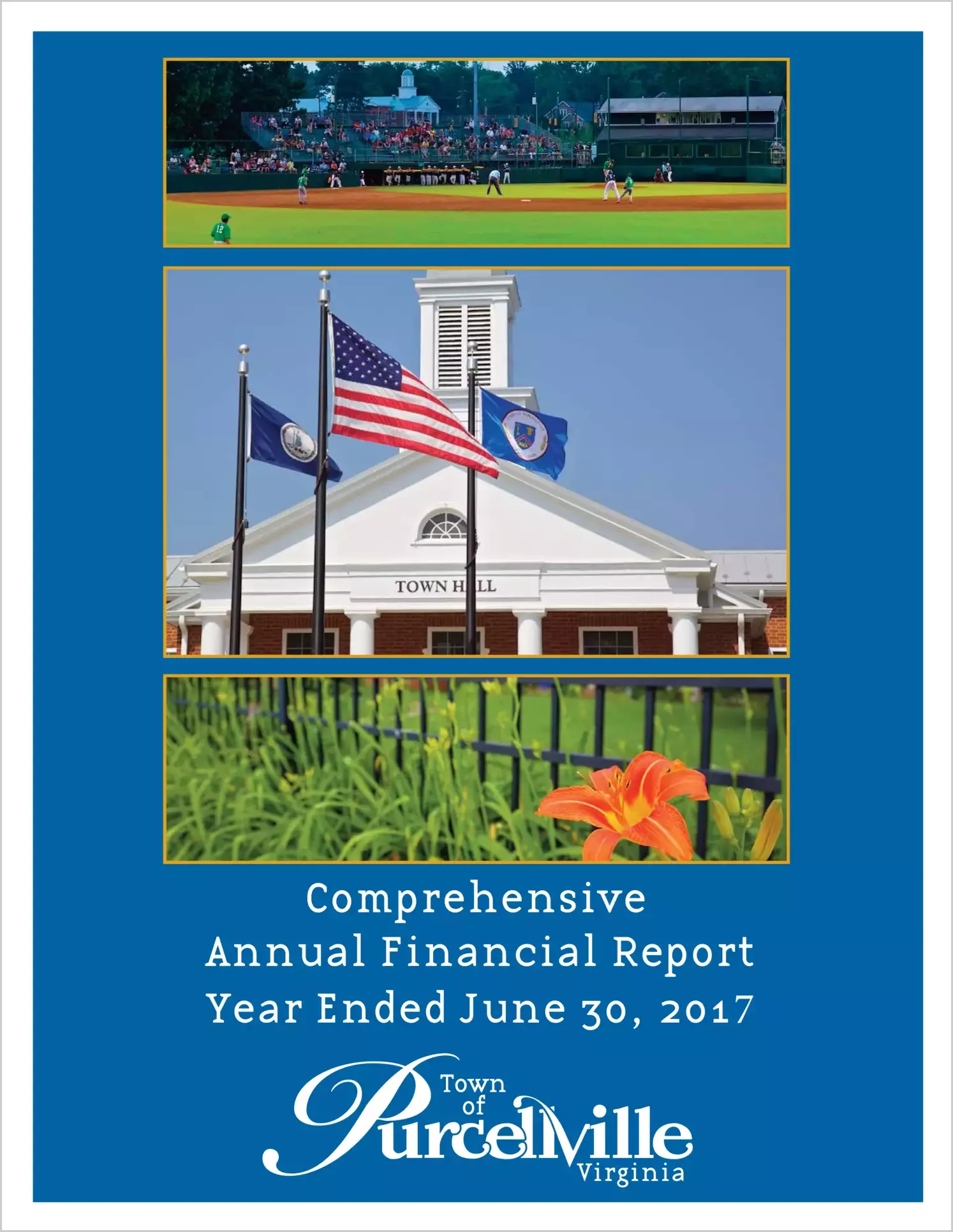 2017 Annual Financial Report for Town of Purcellville