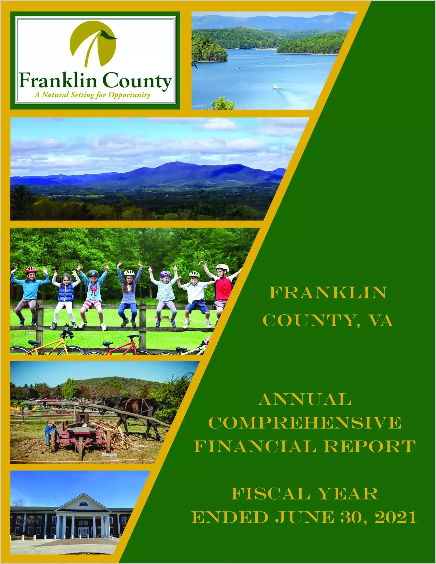 2021 Annual Financial Report for County of Franklin