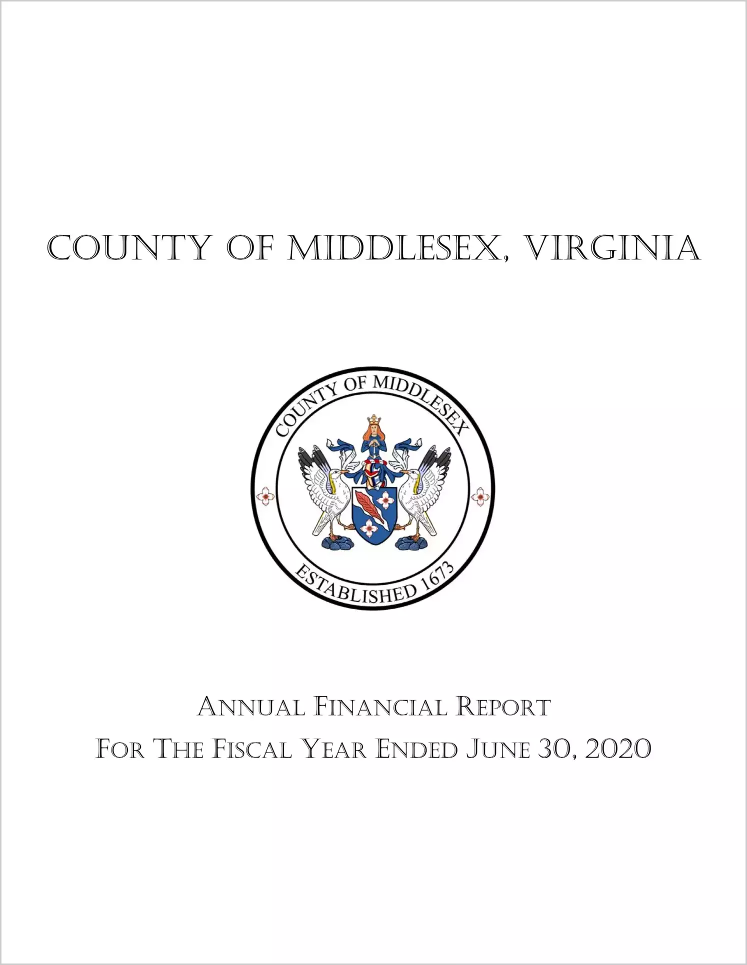 2020 Annual Financial Report for County of Middlesex