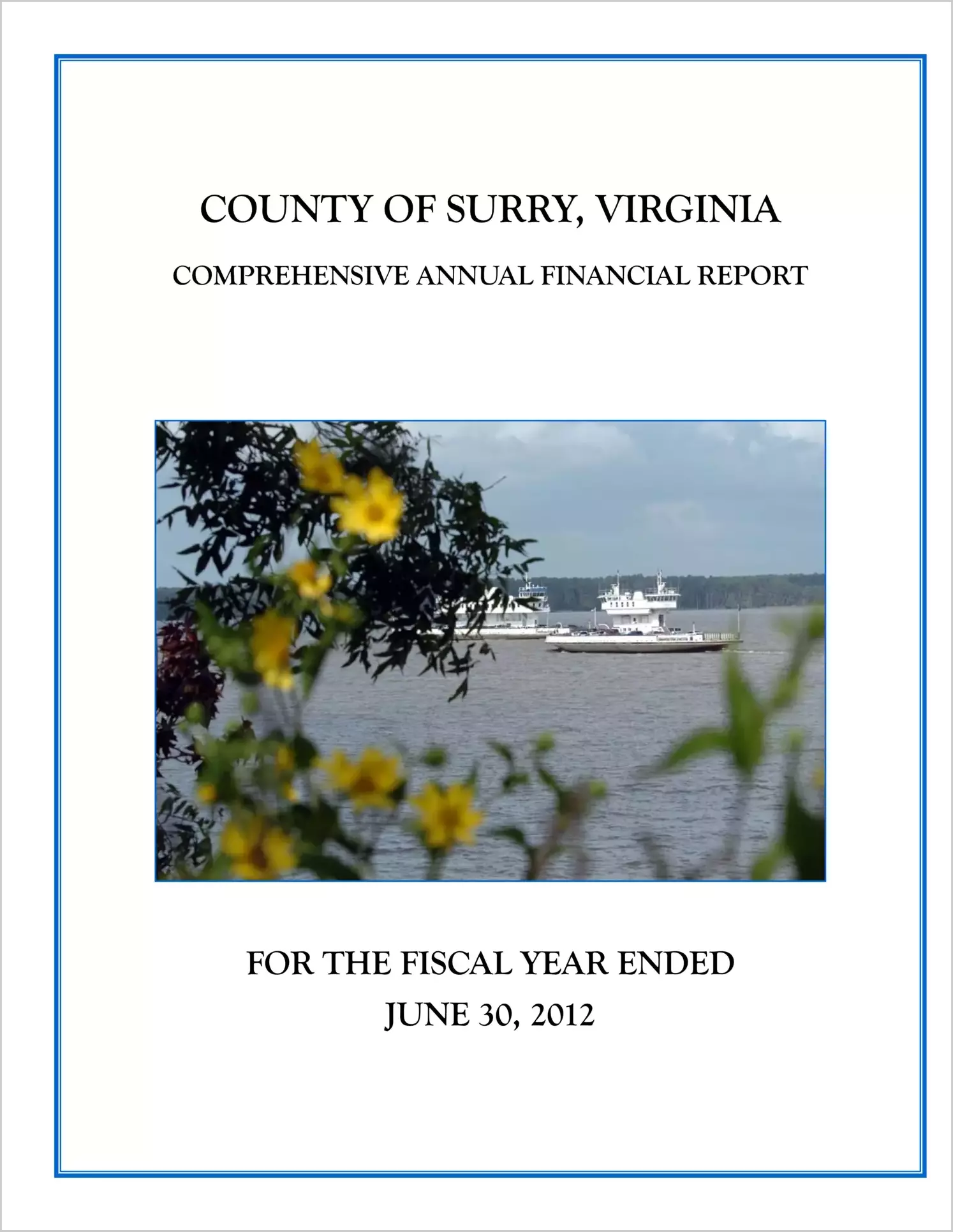 2012 Annual Financial Report for County of Surry