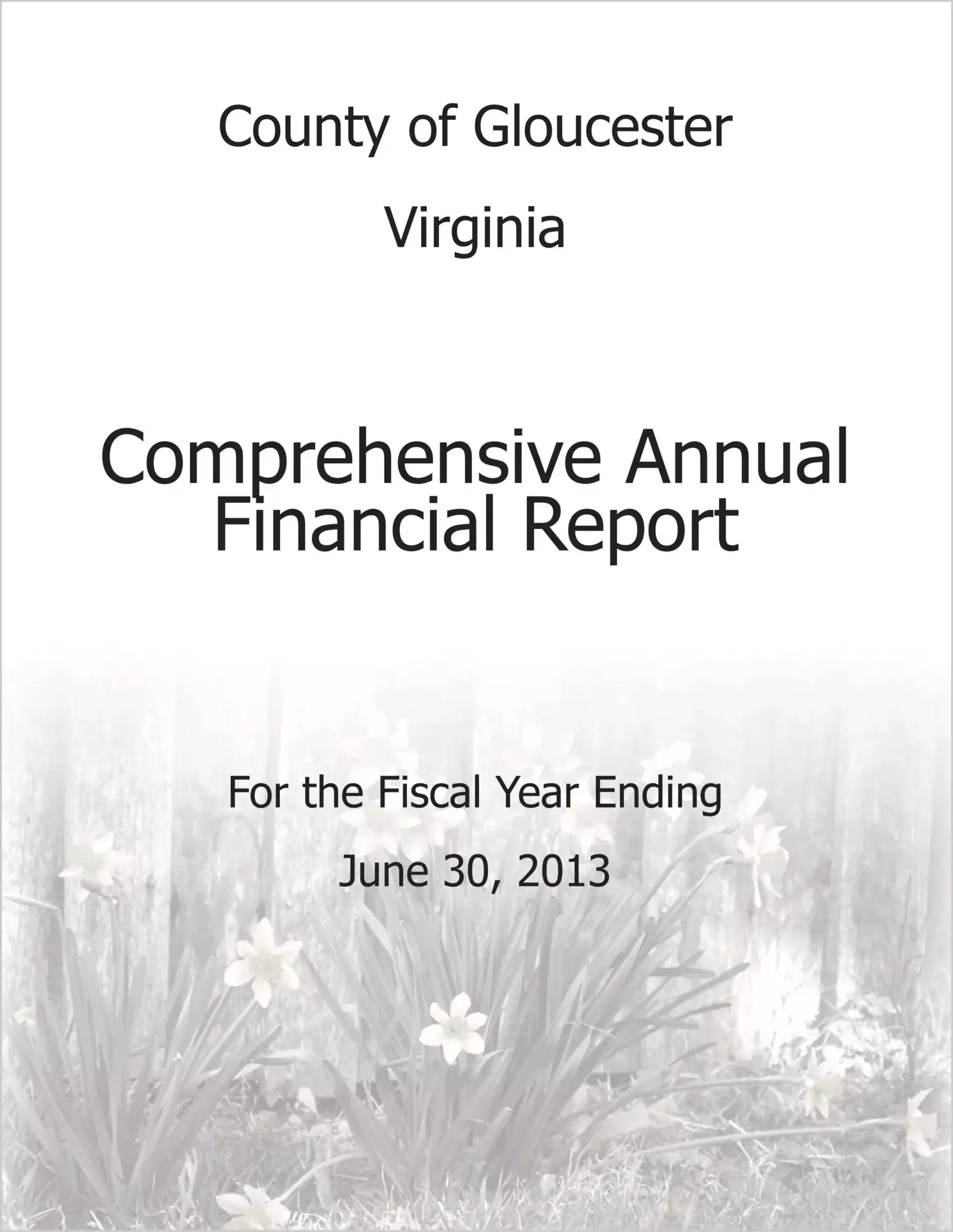 2013 Annual Financial Report for County of Gloucester