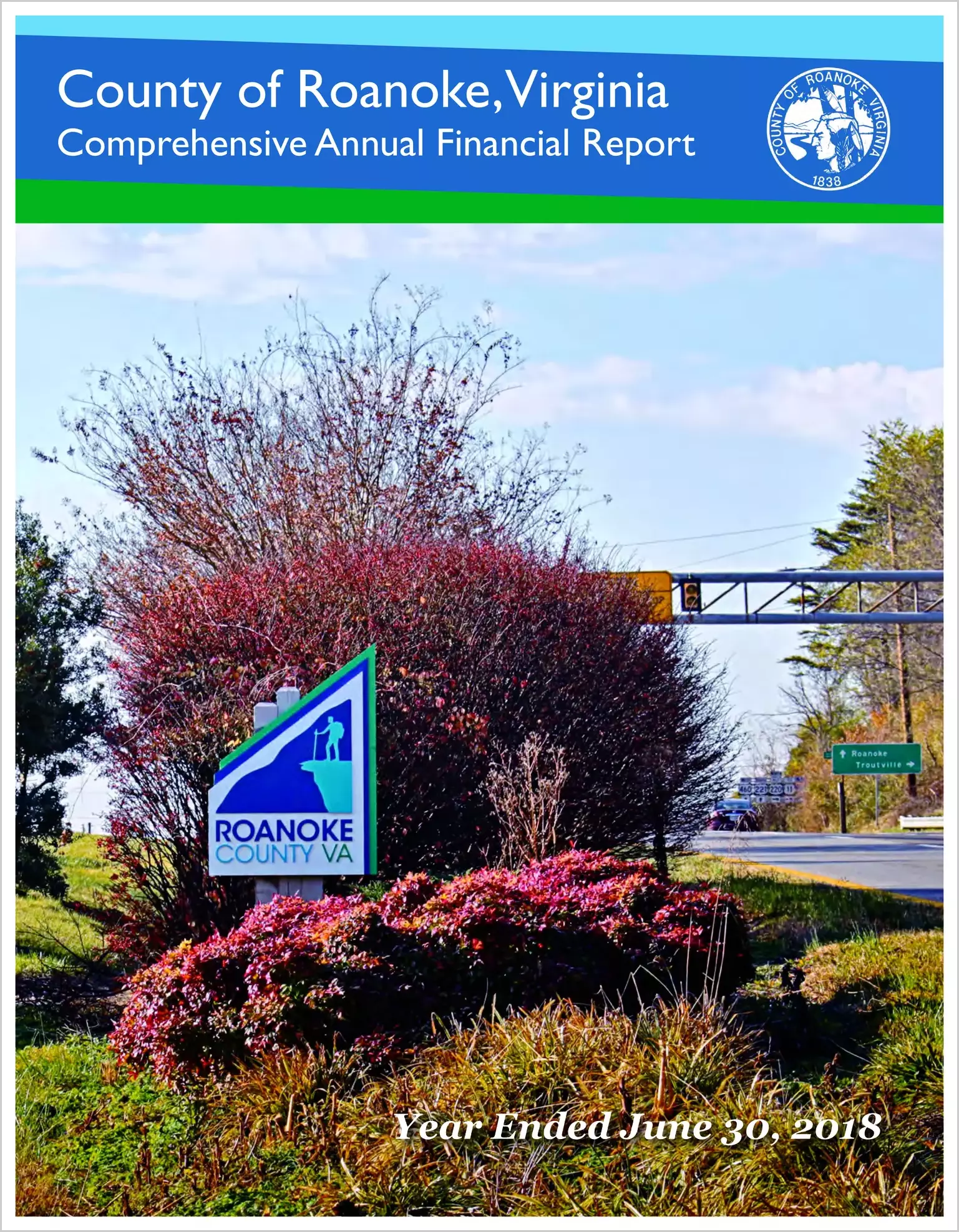 2018 Annual Financial Report for County of Roanoke