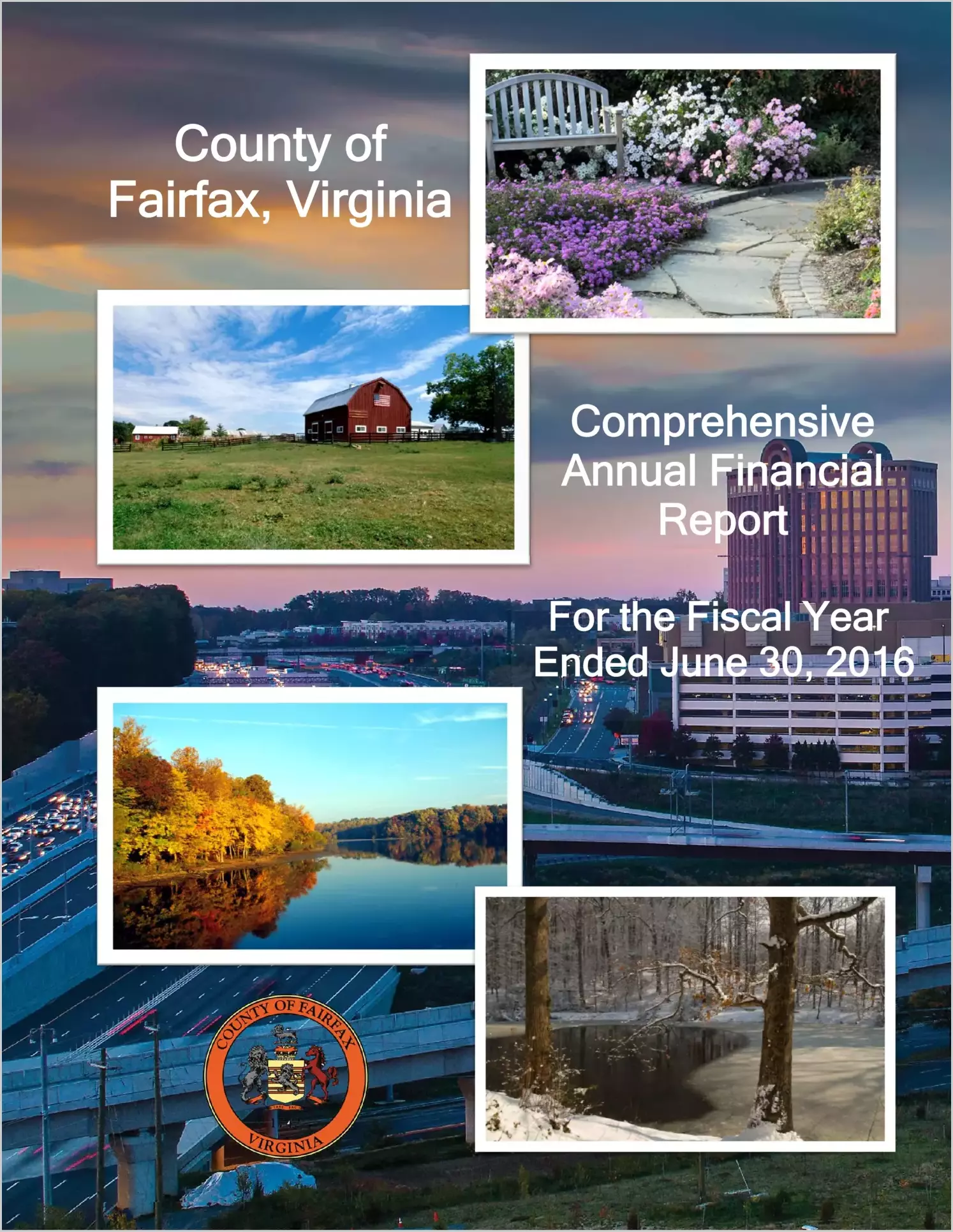 2016 Annual Financial Report for County of Fairfax