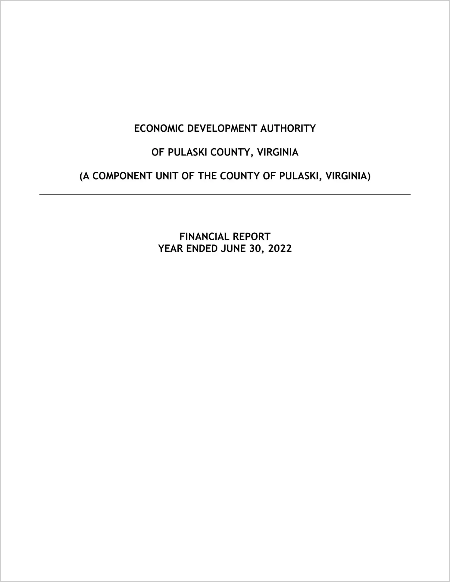 preview of 2022 ABC/Other Annual Financial Report for Pulaski County Economic Development Authority