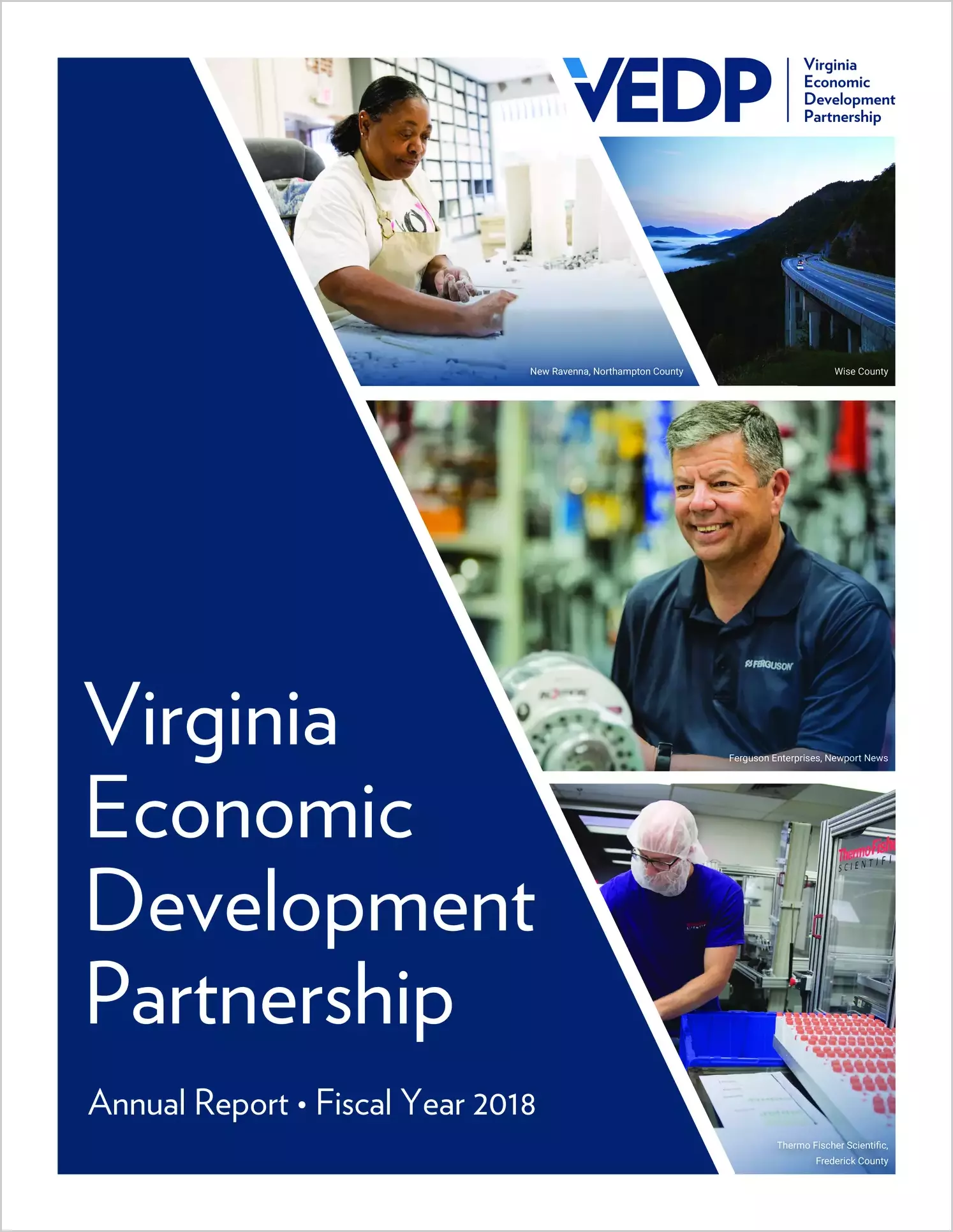 Virginia Economic Development Partnership Financial Statements for the year ended June 30, 2018