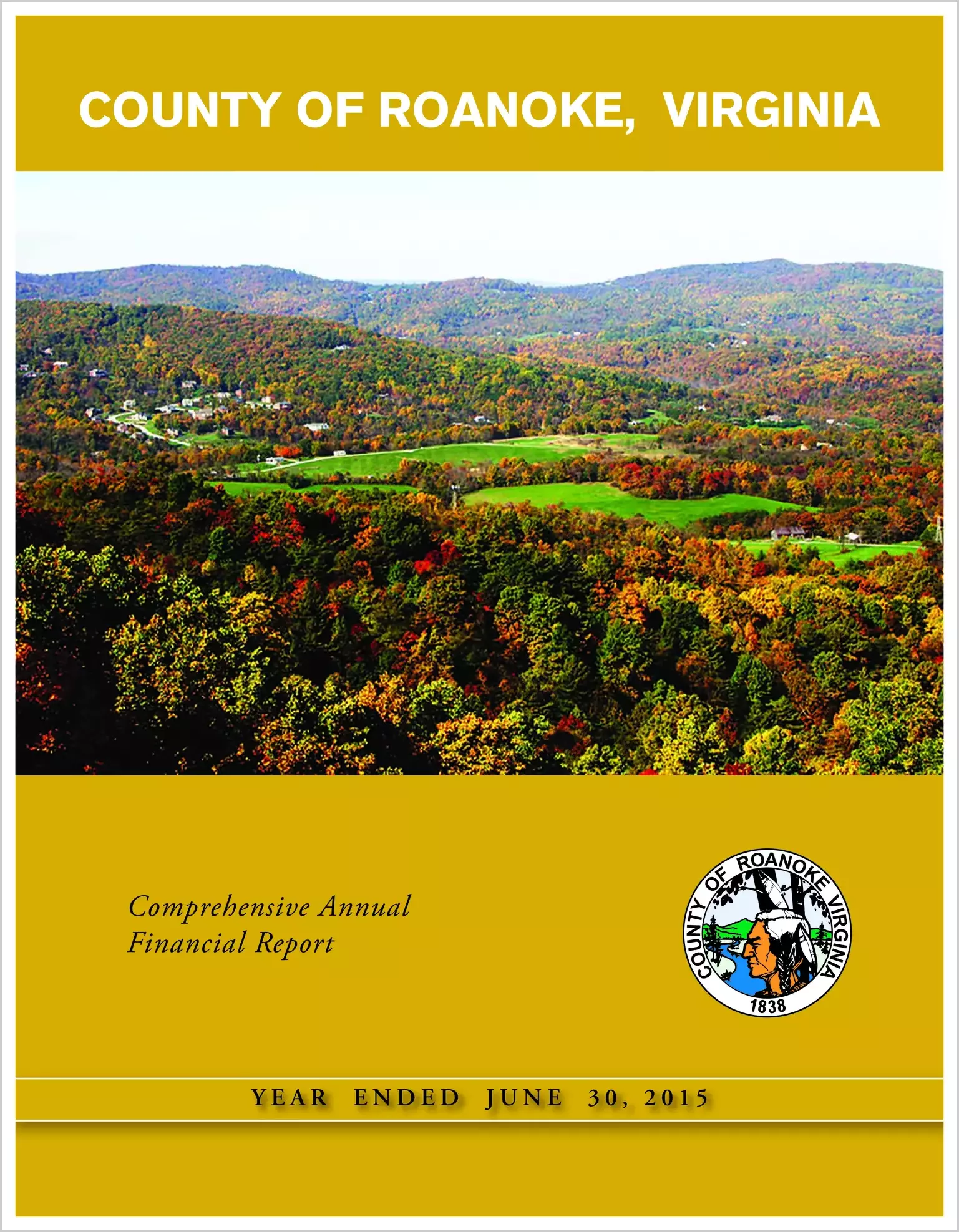 2015 Annual Financial Report for County of Roanoke