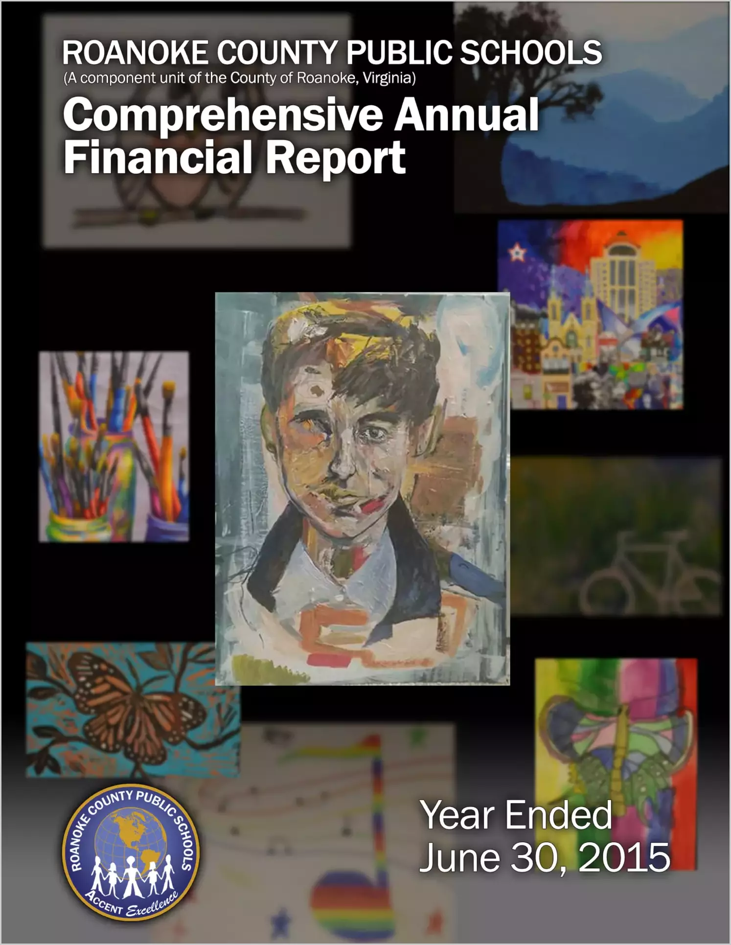 2015 Public Schools Annual Financial Report for County of Roanoke