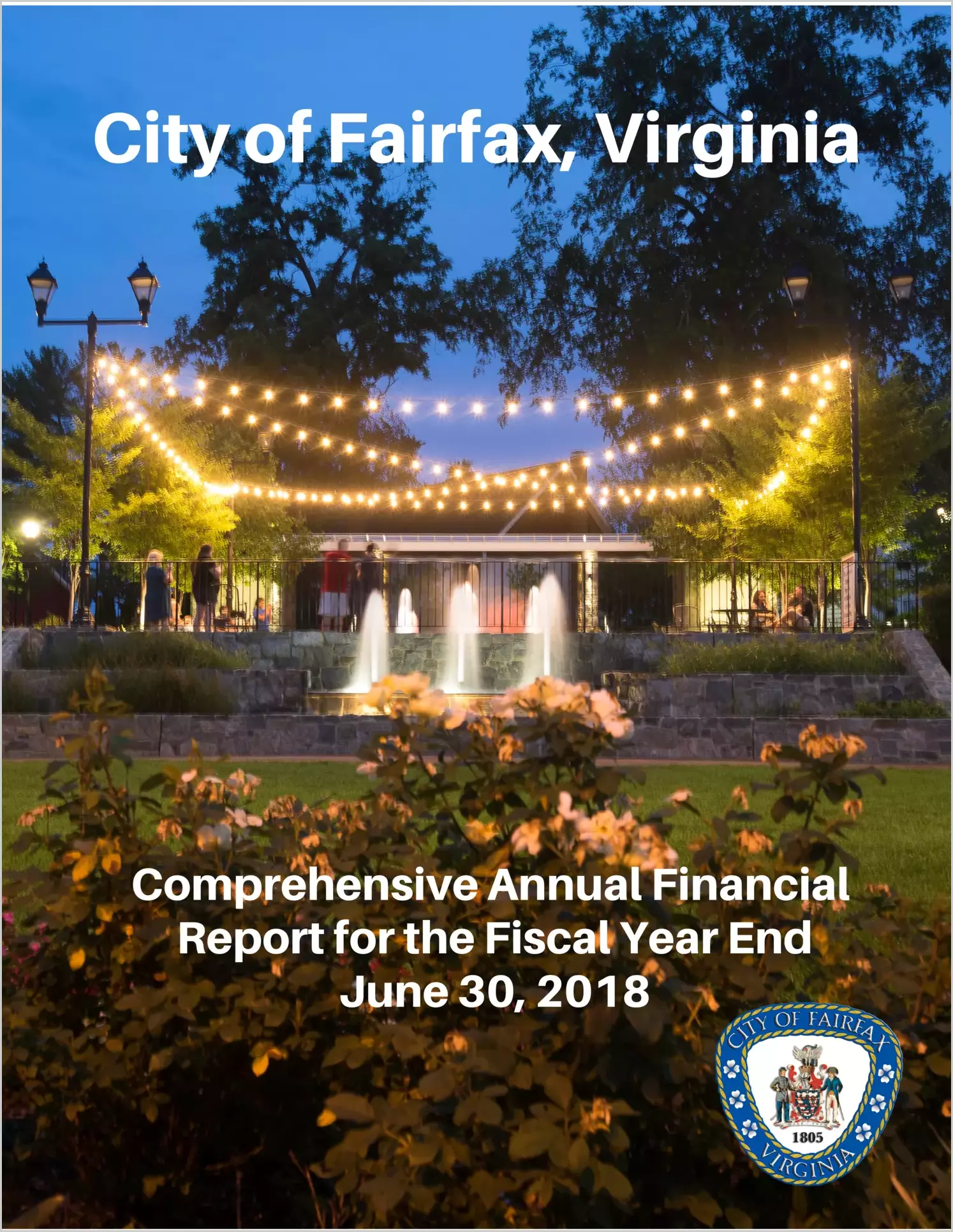2018 Annual Financial Report for City of Fairfax