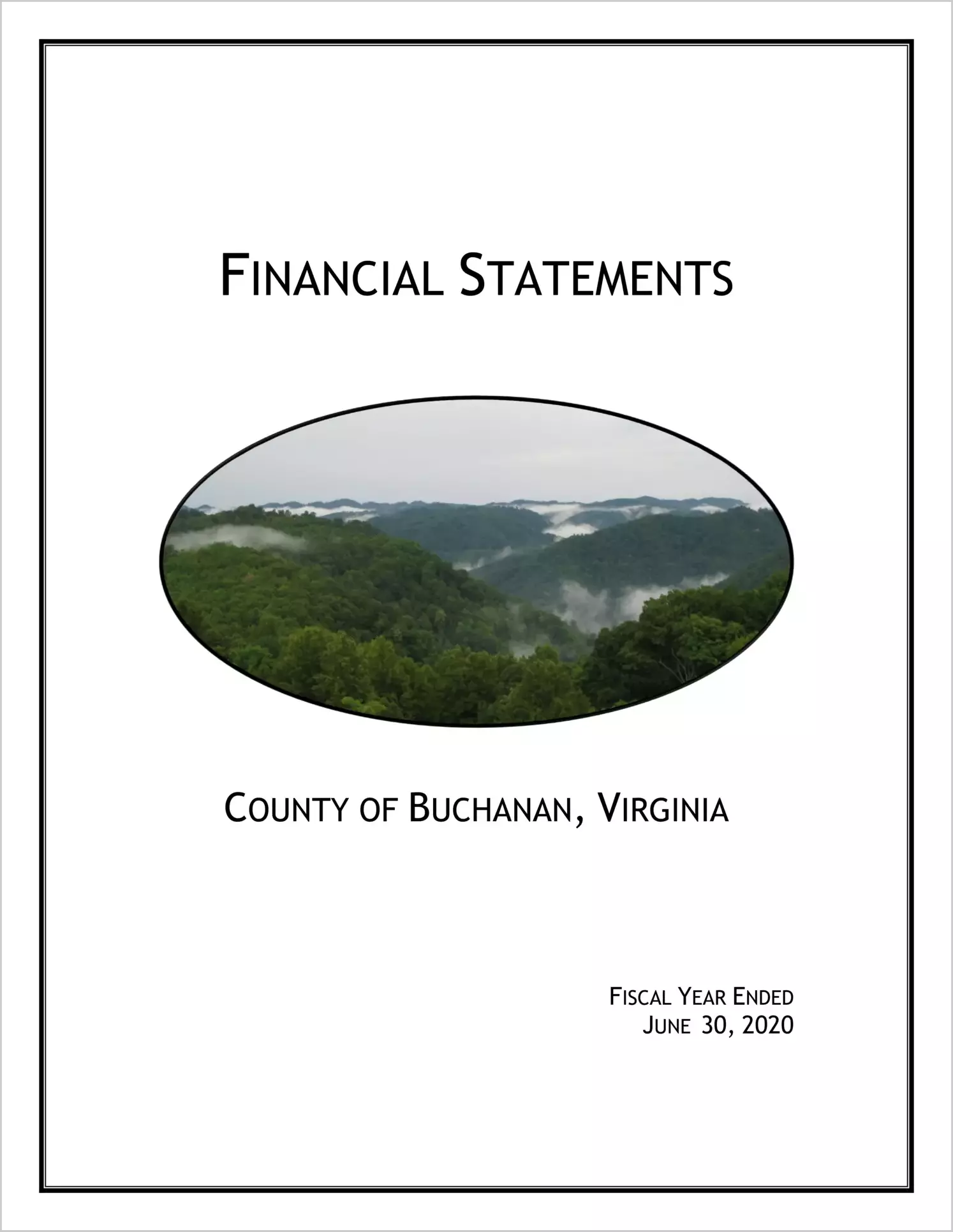 2020 Annual Financial Report for County of Buchanan