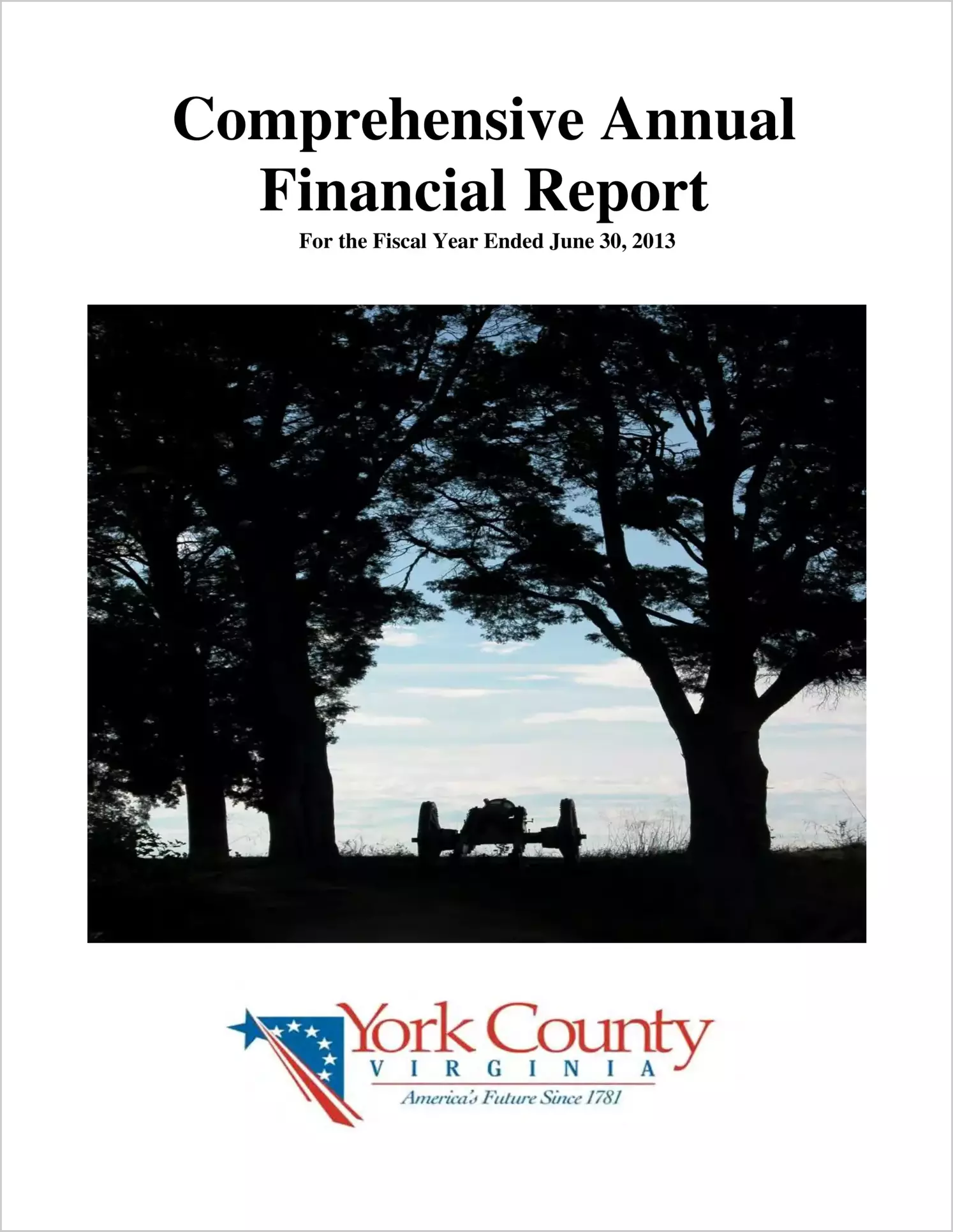 2013 Annual Financial Report for County of York