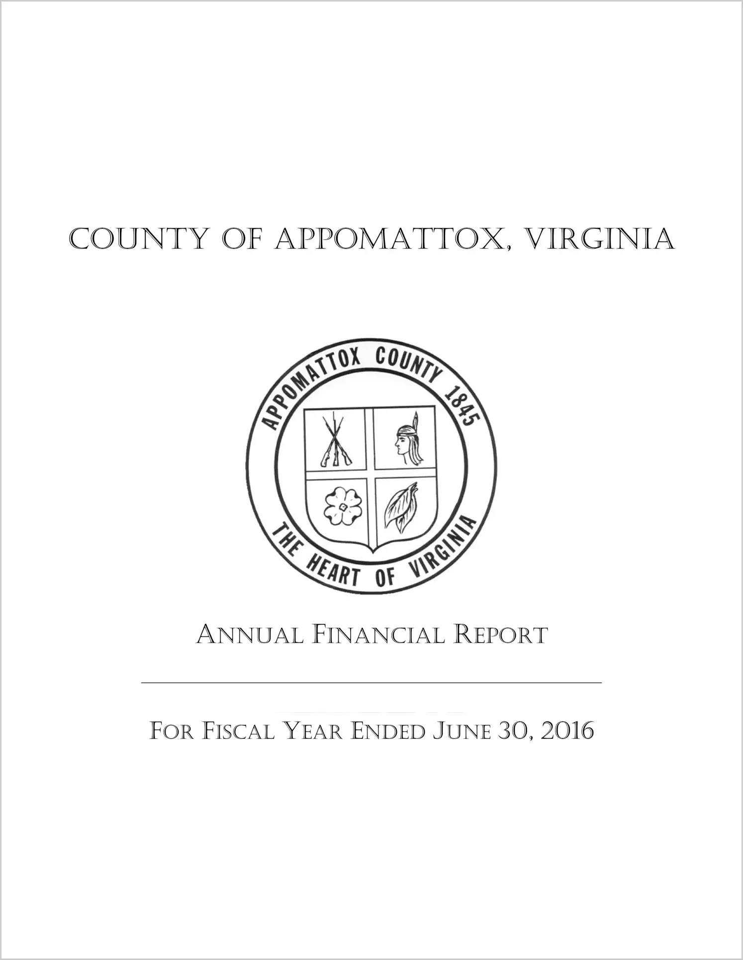 2016 Annual Financial Report for County of Appomattox