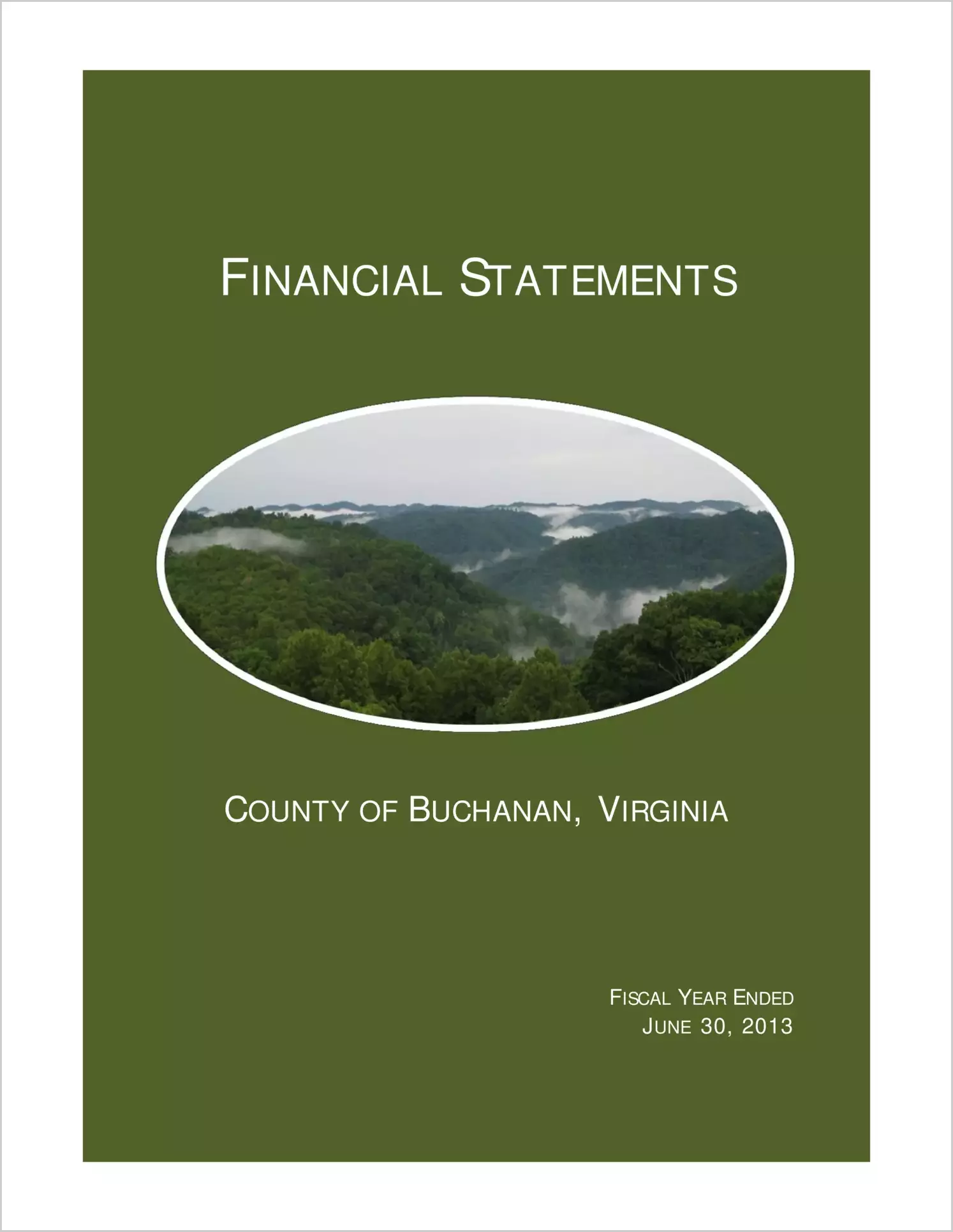 2013 Annual Financial Report for County of Buchanan