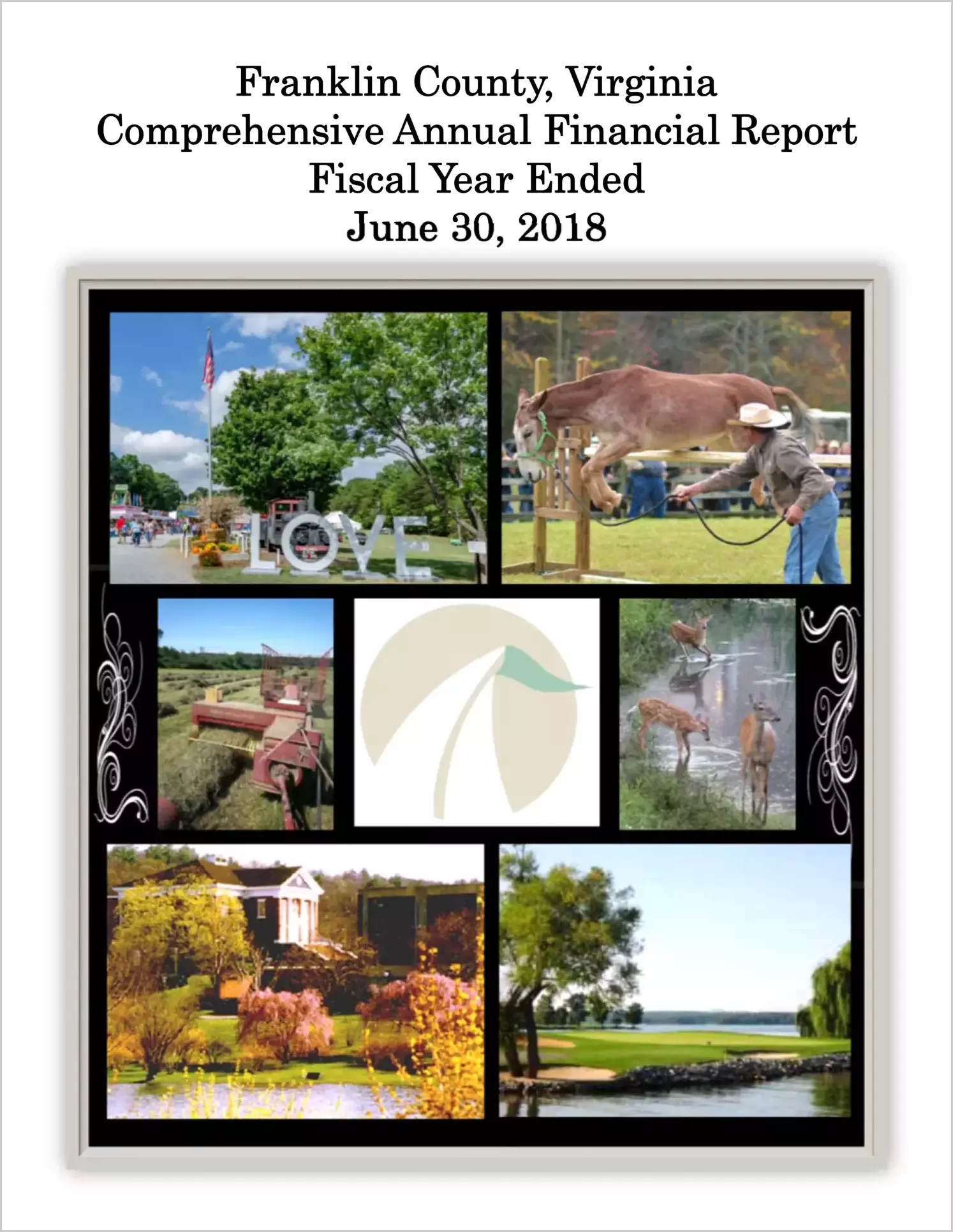 2018 Annual Financial Report for County of Franklin