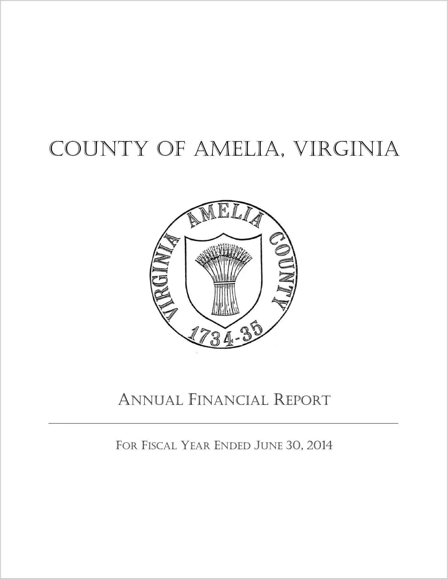 2014 Annual Financial Report for County of Amelia