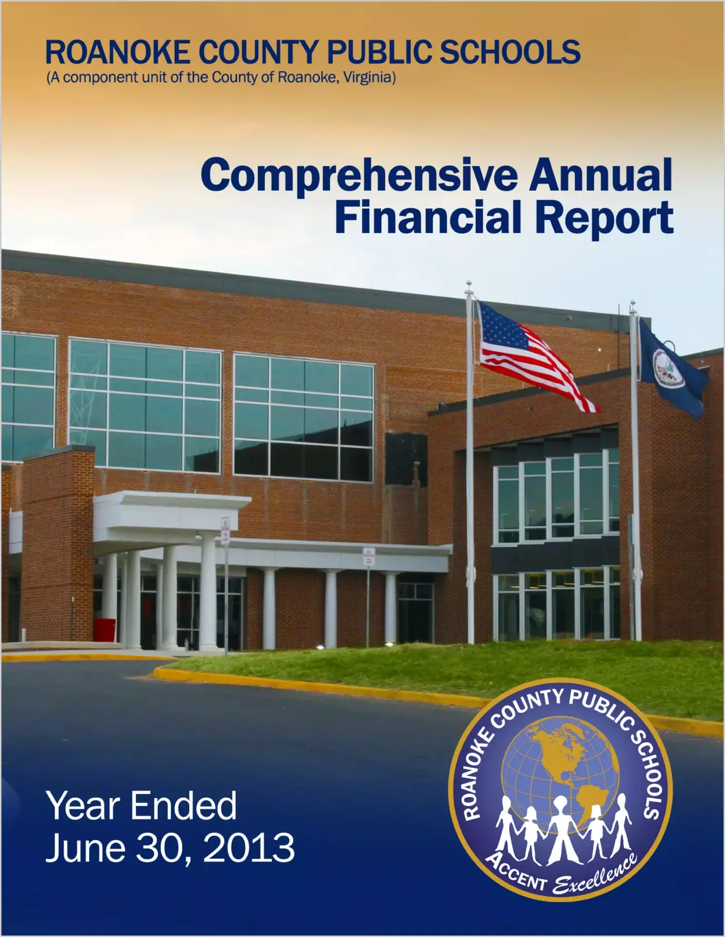 2013 Public Schools Annual Financial Report for County of Roanoke
