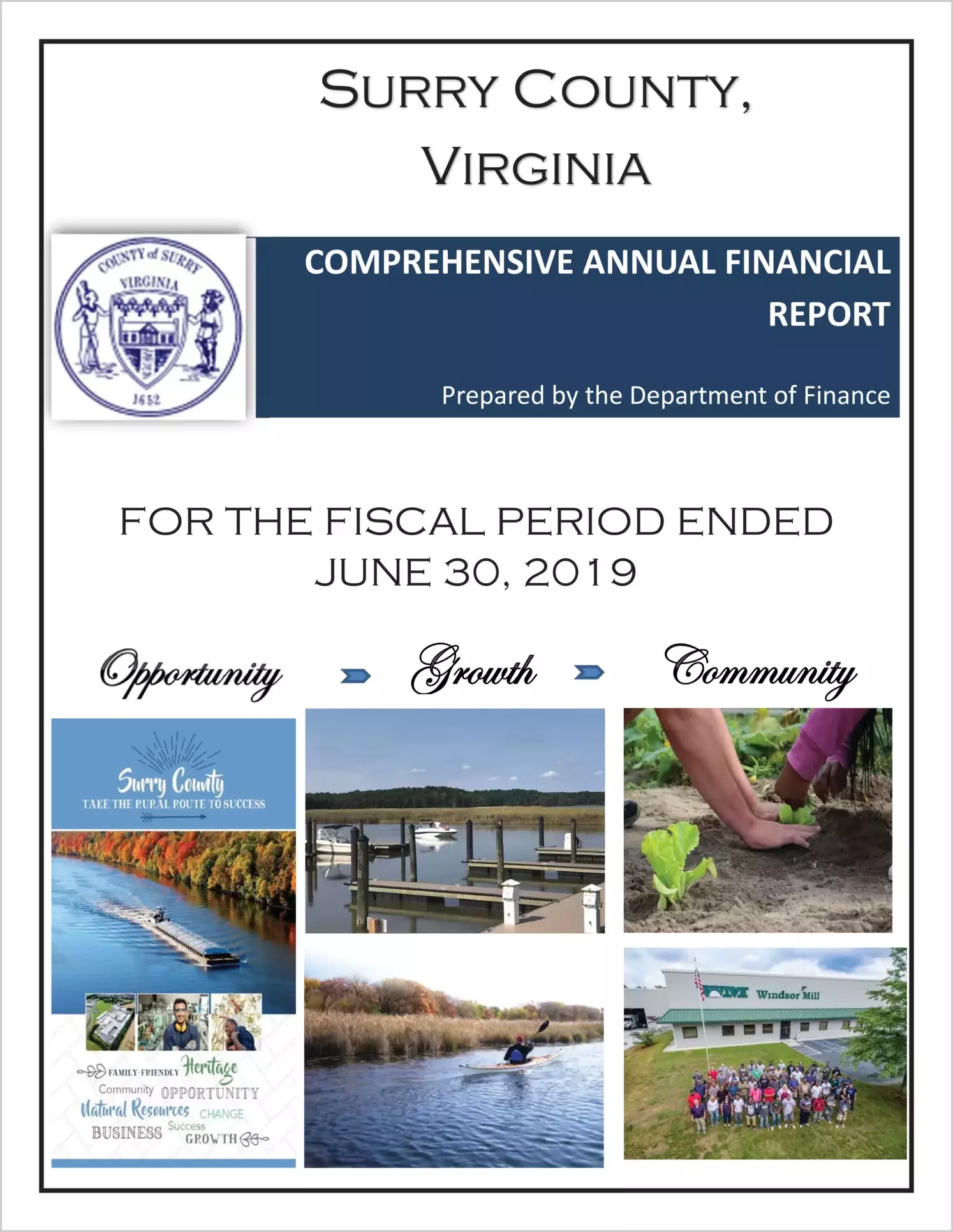 2019 Annual Financial Report for County of Surry
