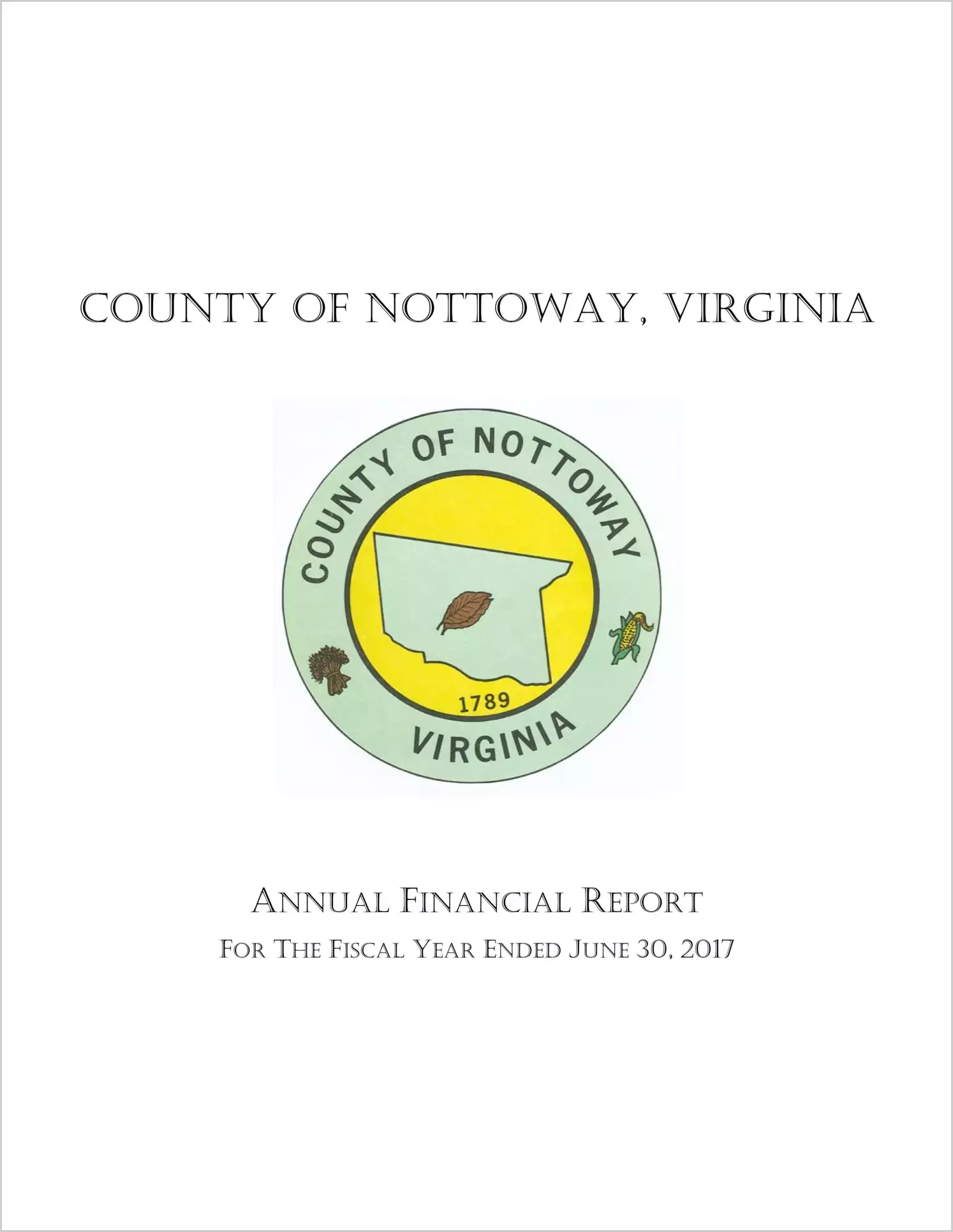 2017 Annual Financial Report for County of Nottoway
