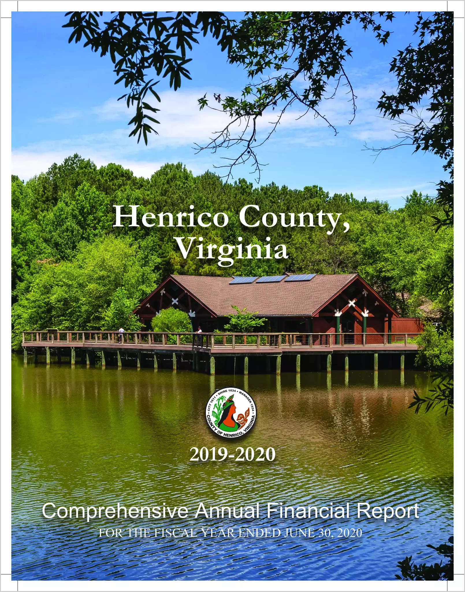 2020 Annual Financial Report for County of Henrico