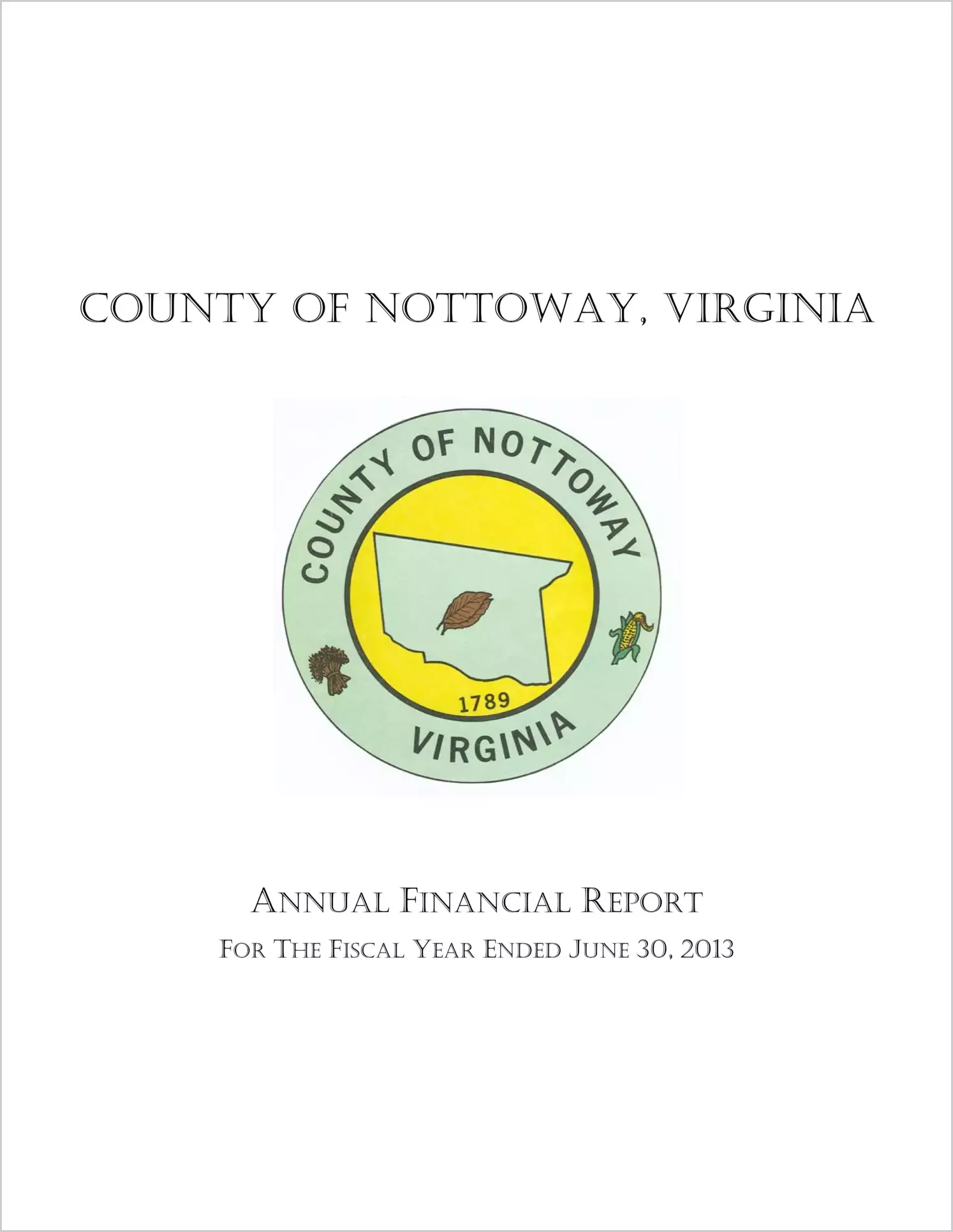 2013 Annual Financial Report for County of Nottoway