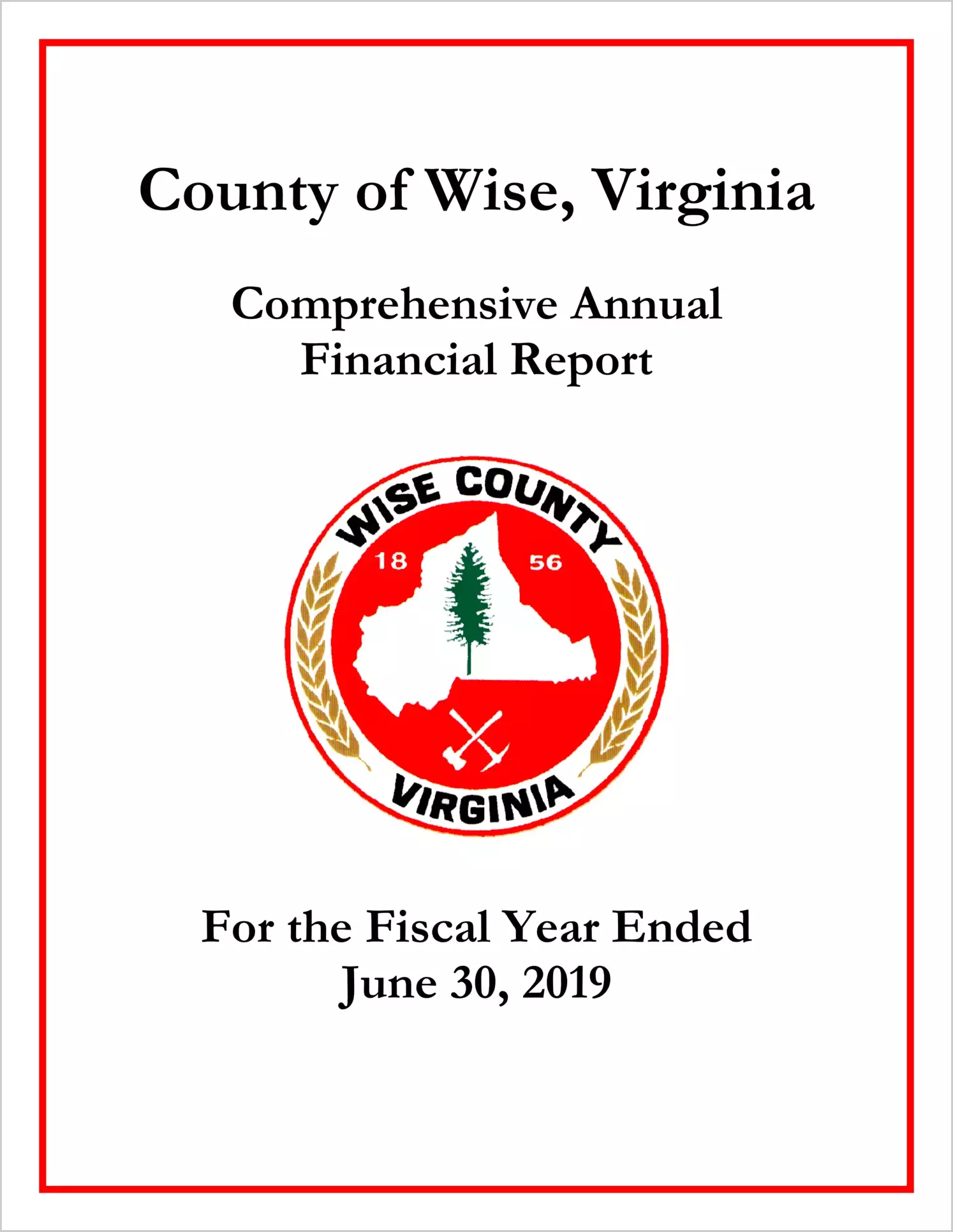 2019 Annual Financial Report for County of Wise
