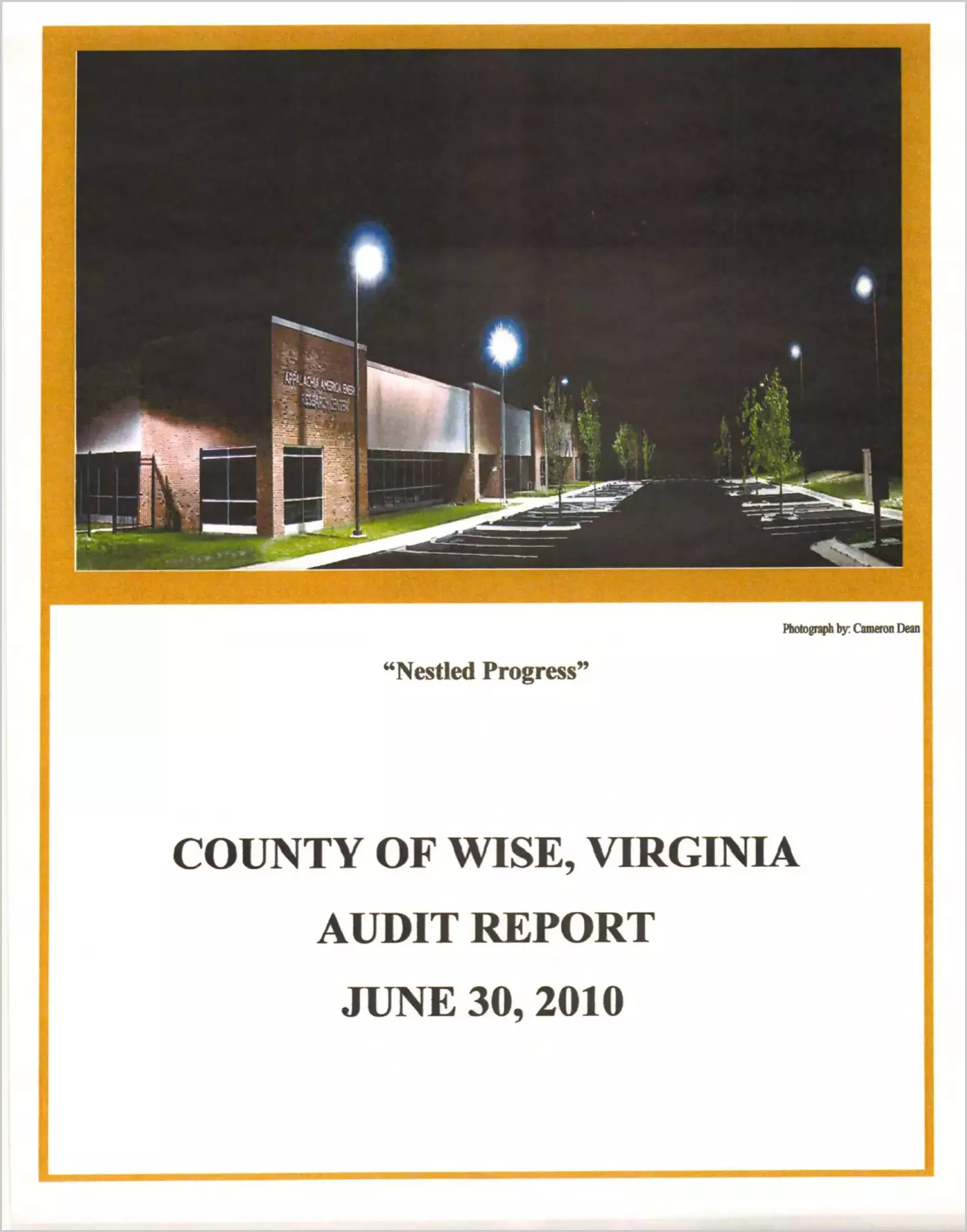 2010 Annual Financial Report for County of Wise