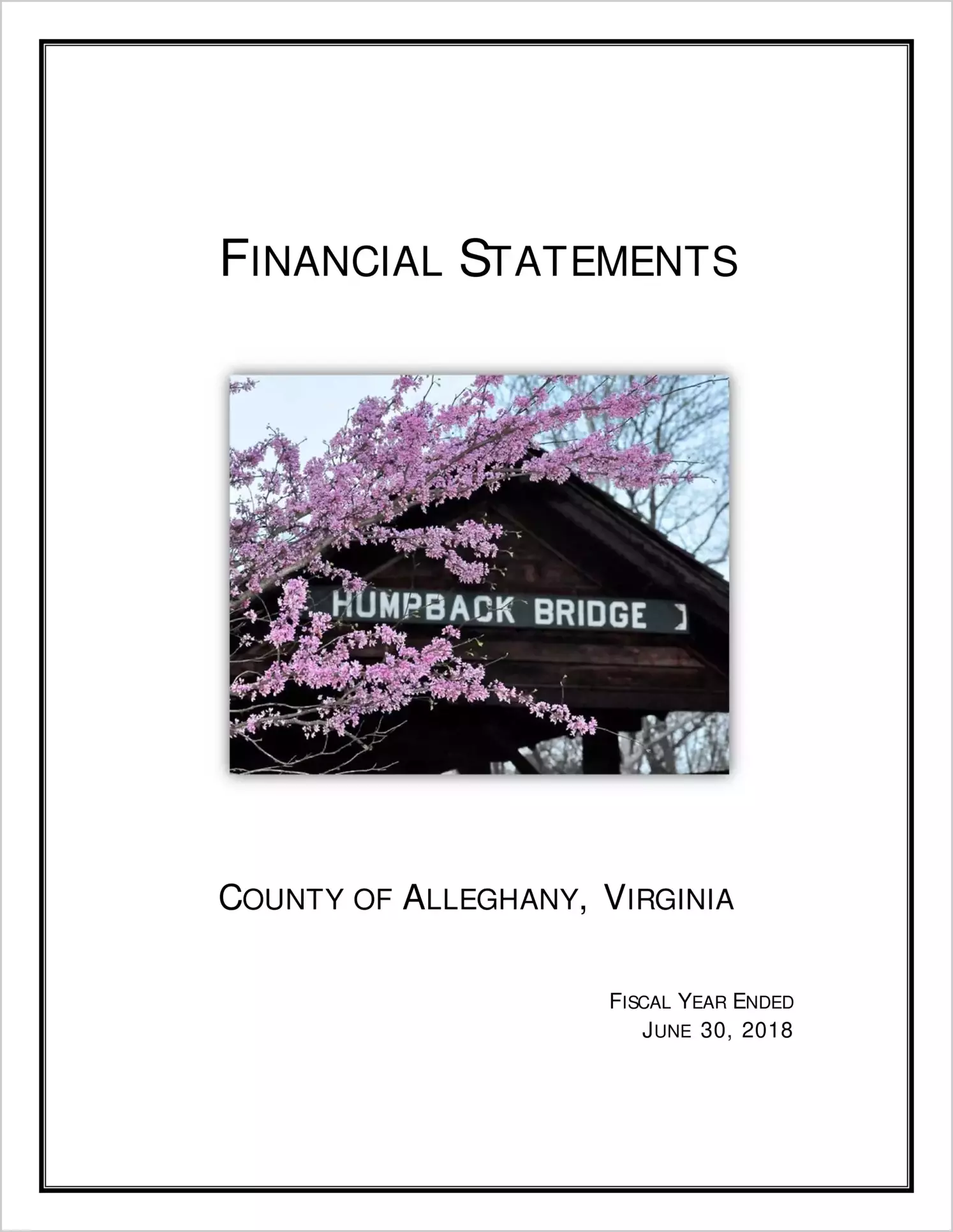 2018 Annual Financial Report for County of Alleghany