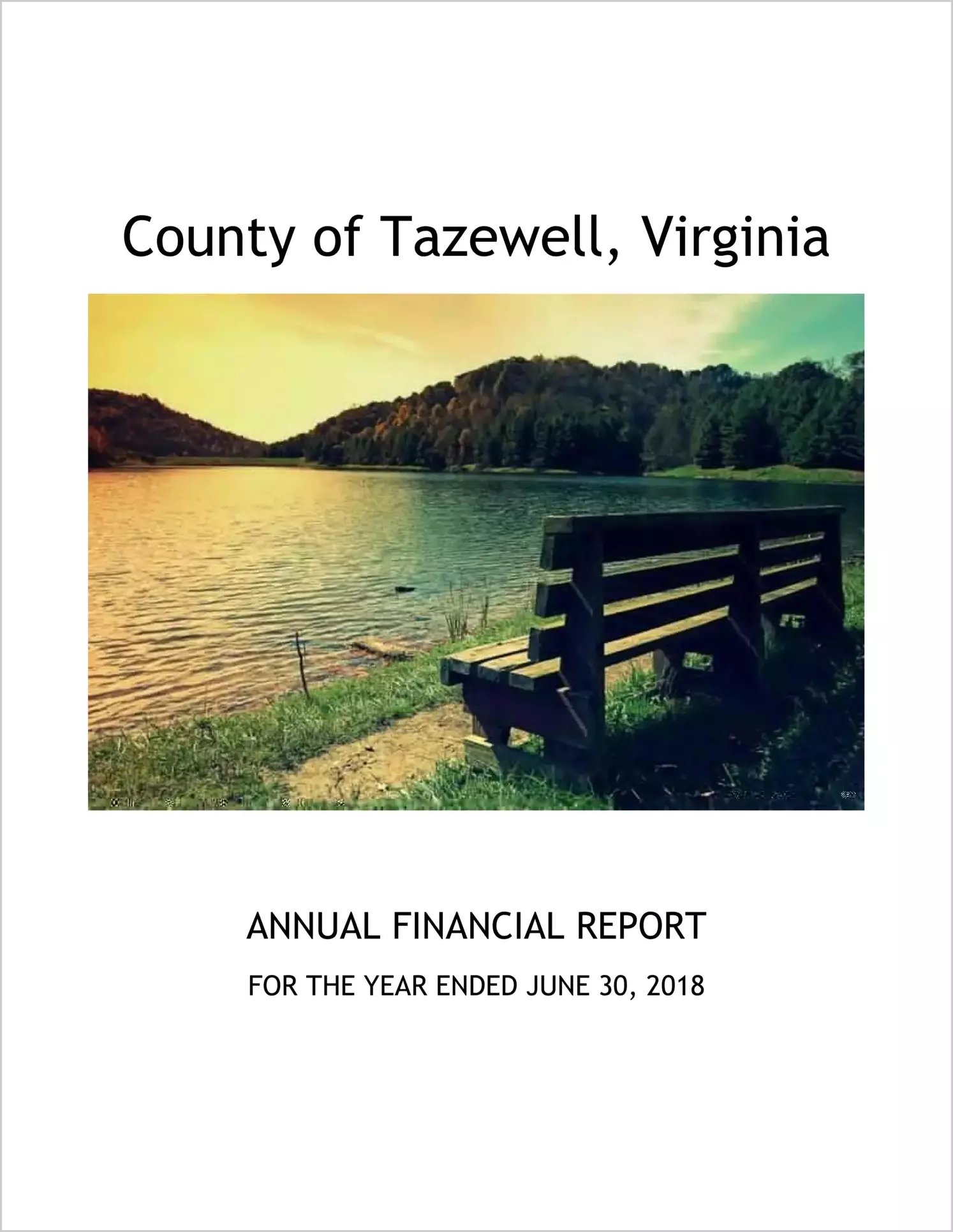 2018 Annual Financial Report for County of Tazewell