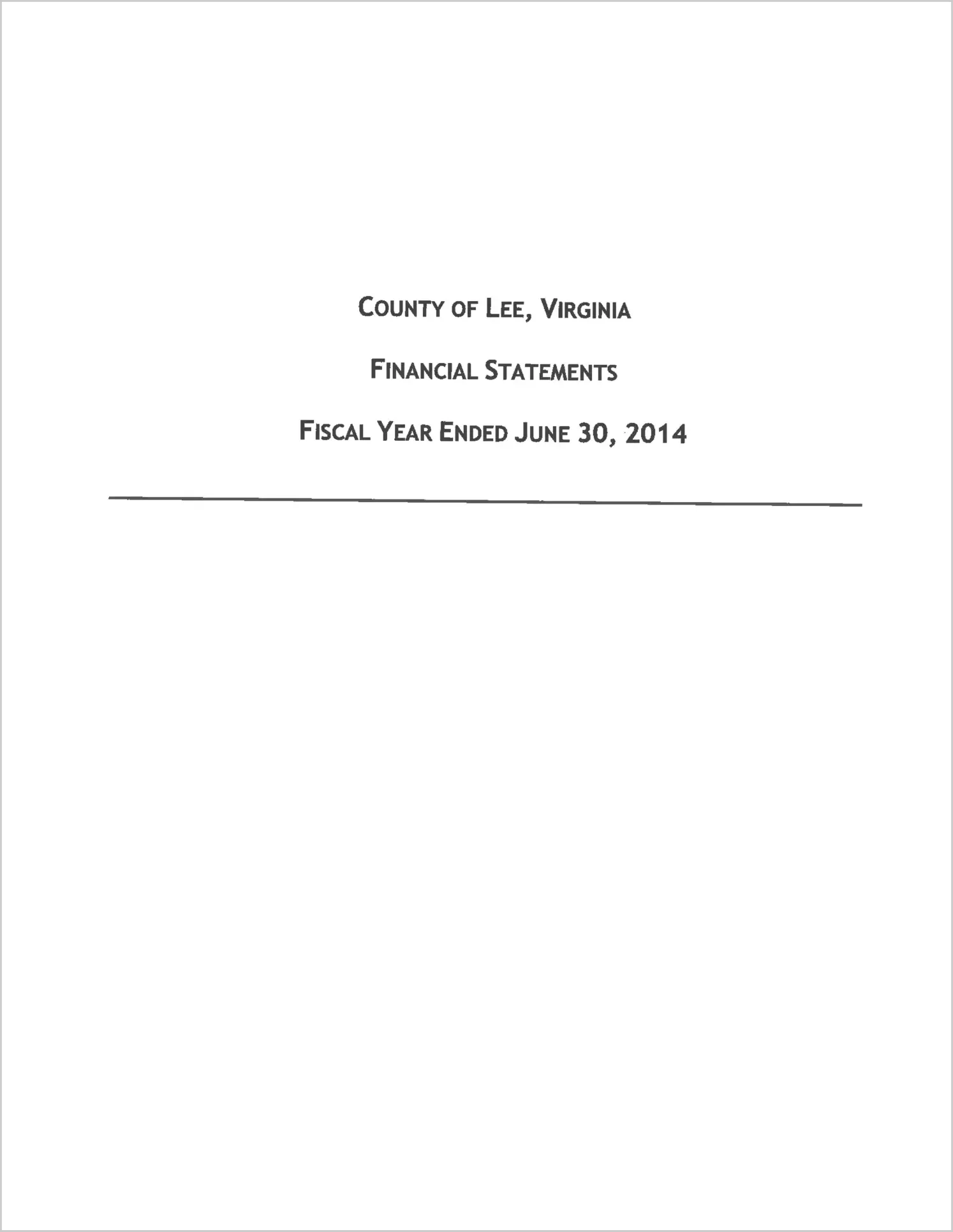 2014 Annual Financial Report for County of Lee