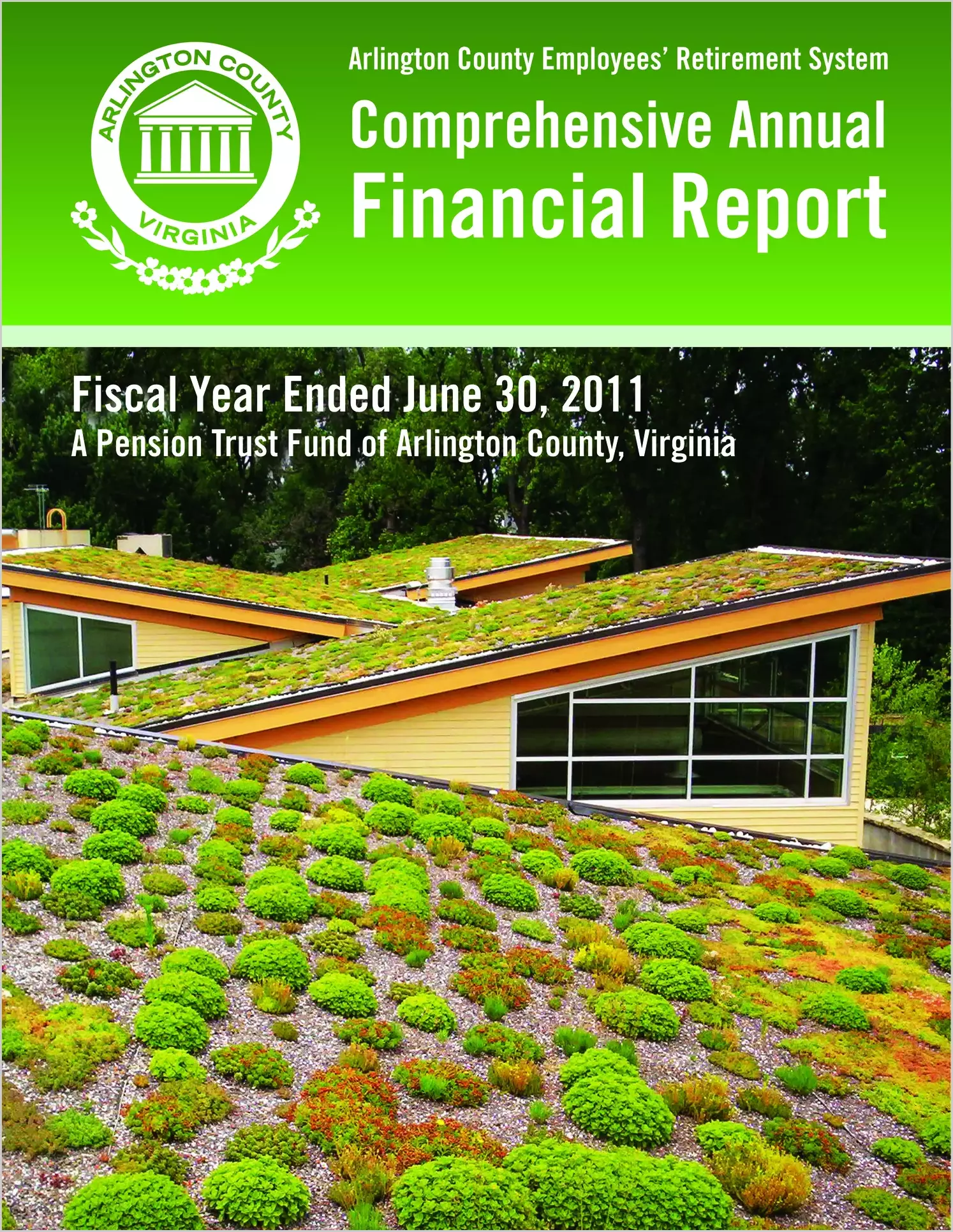 2011 Annual Financial Report for County of Arlington
