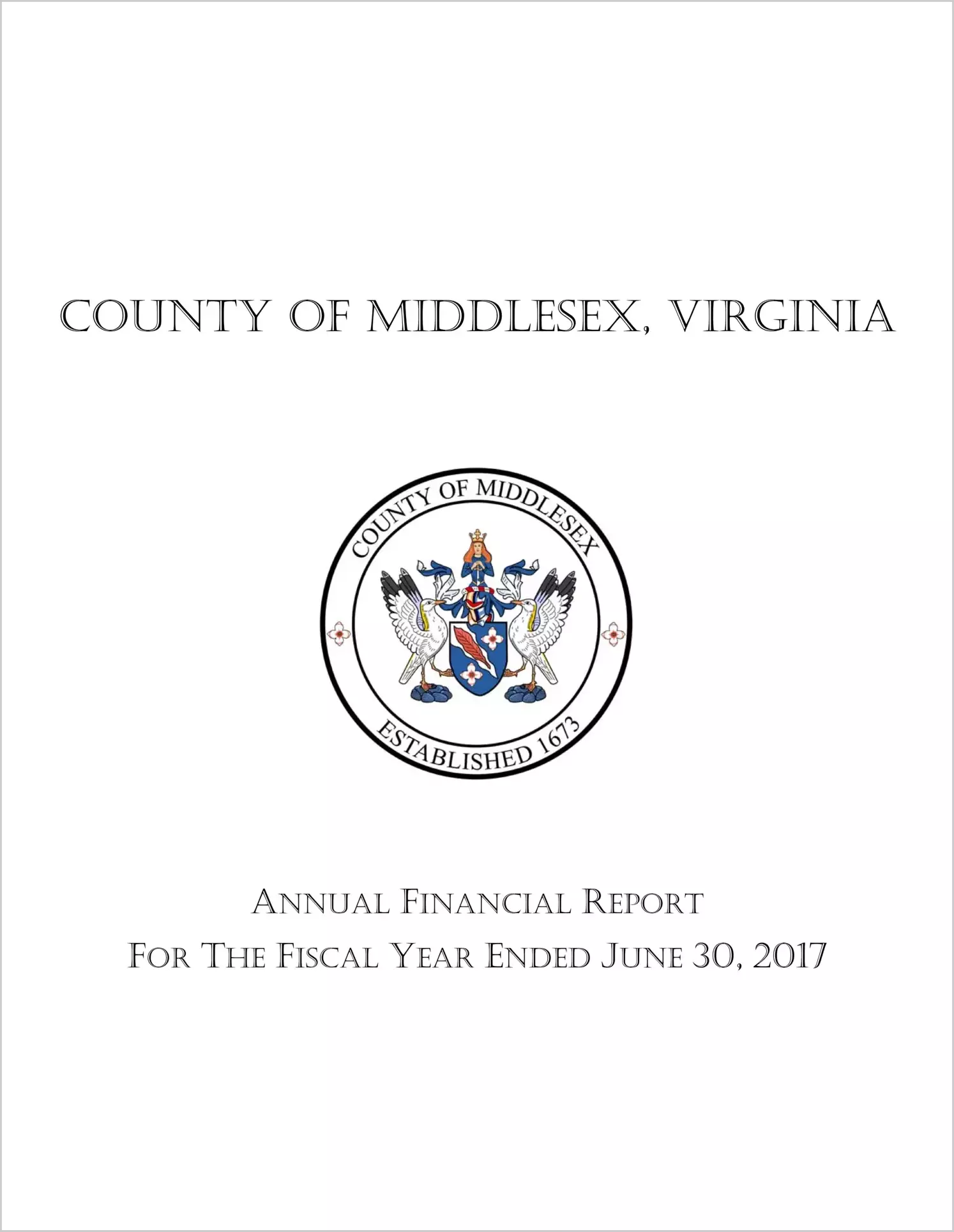 2017 Annual Financial Report for County of Middlesex