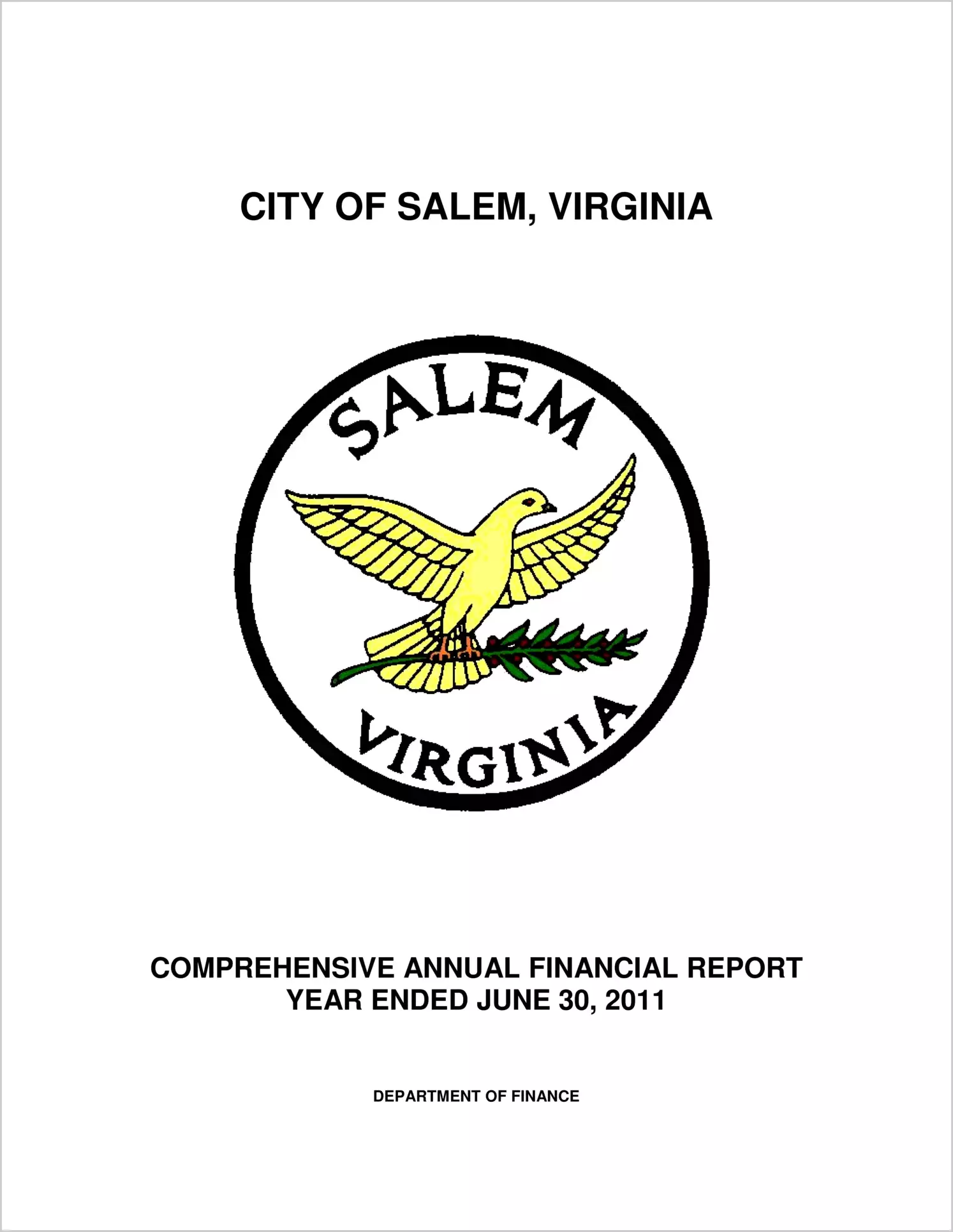 2011 Annual Financial Report for City of Salem