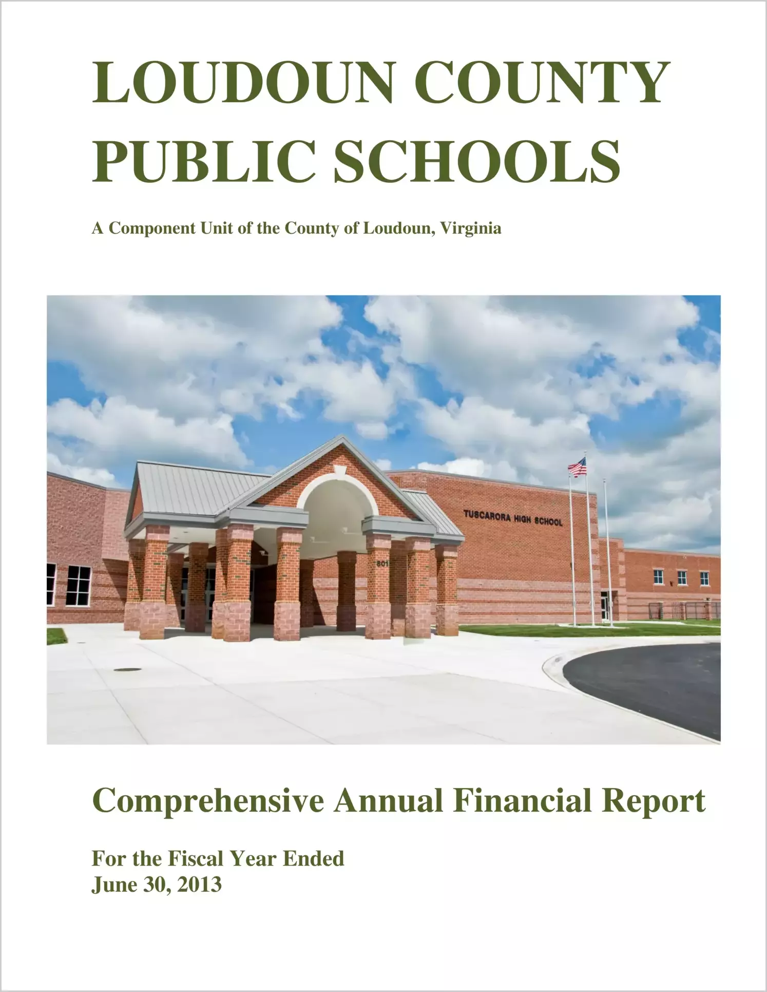 2013 Public Schools Annual Financial Report for County of Loudoun
