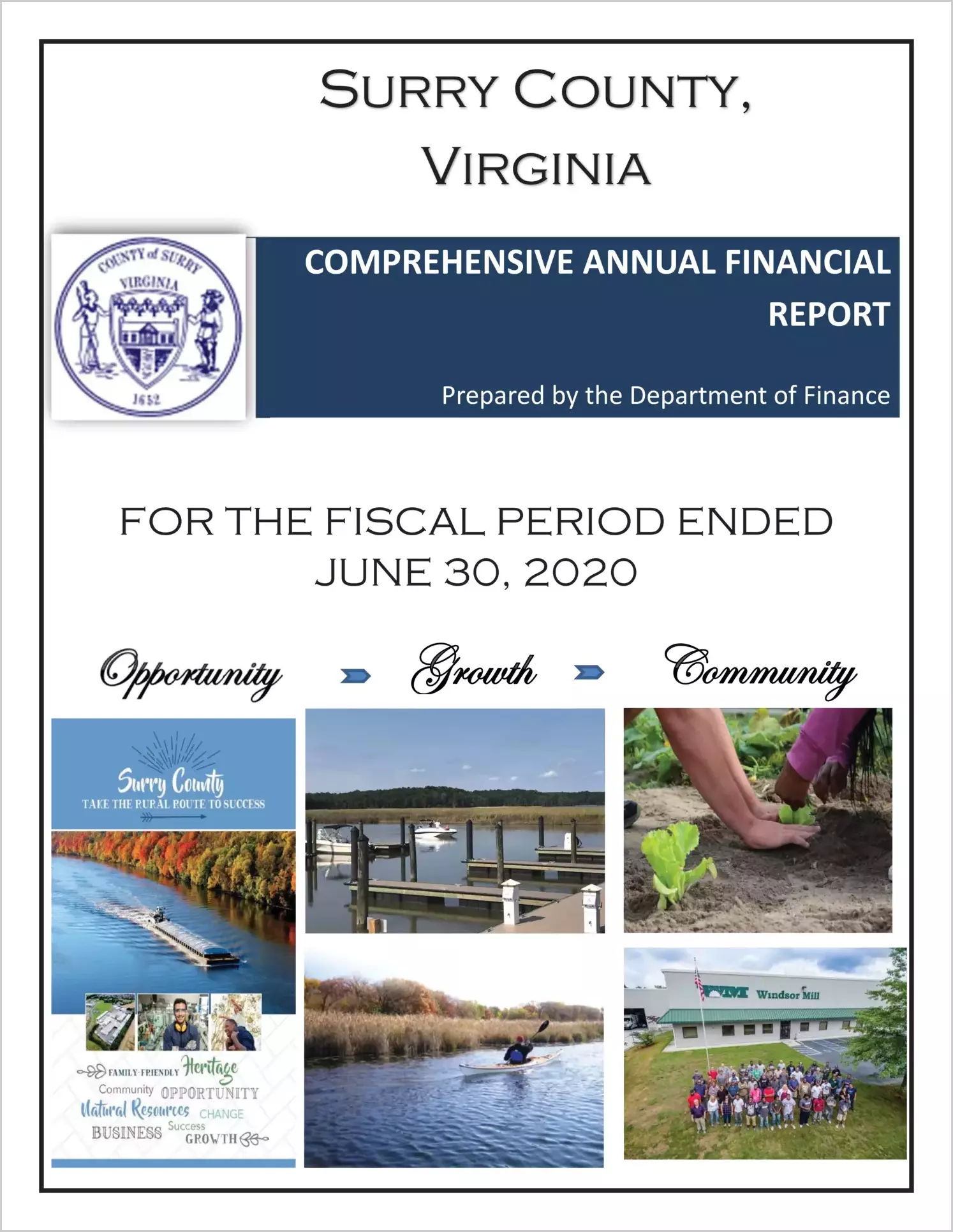 2020 Annual Financial Report for County of Surry