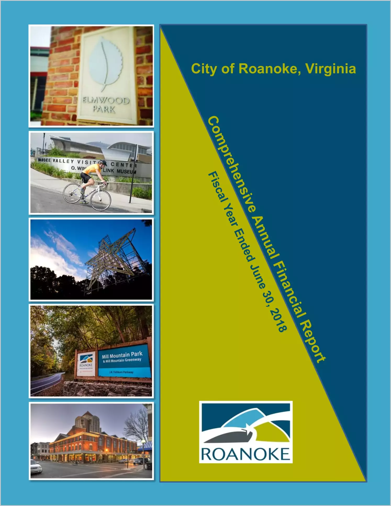 2018 Annual Financial Report for City of Roanoke