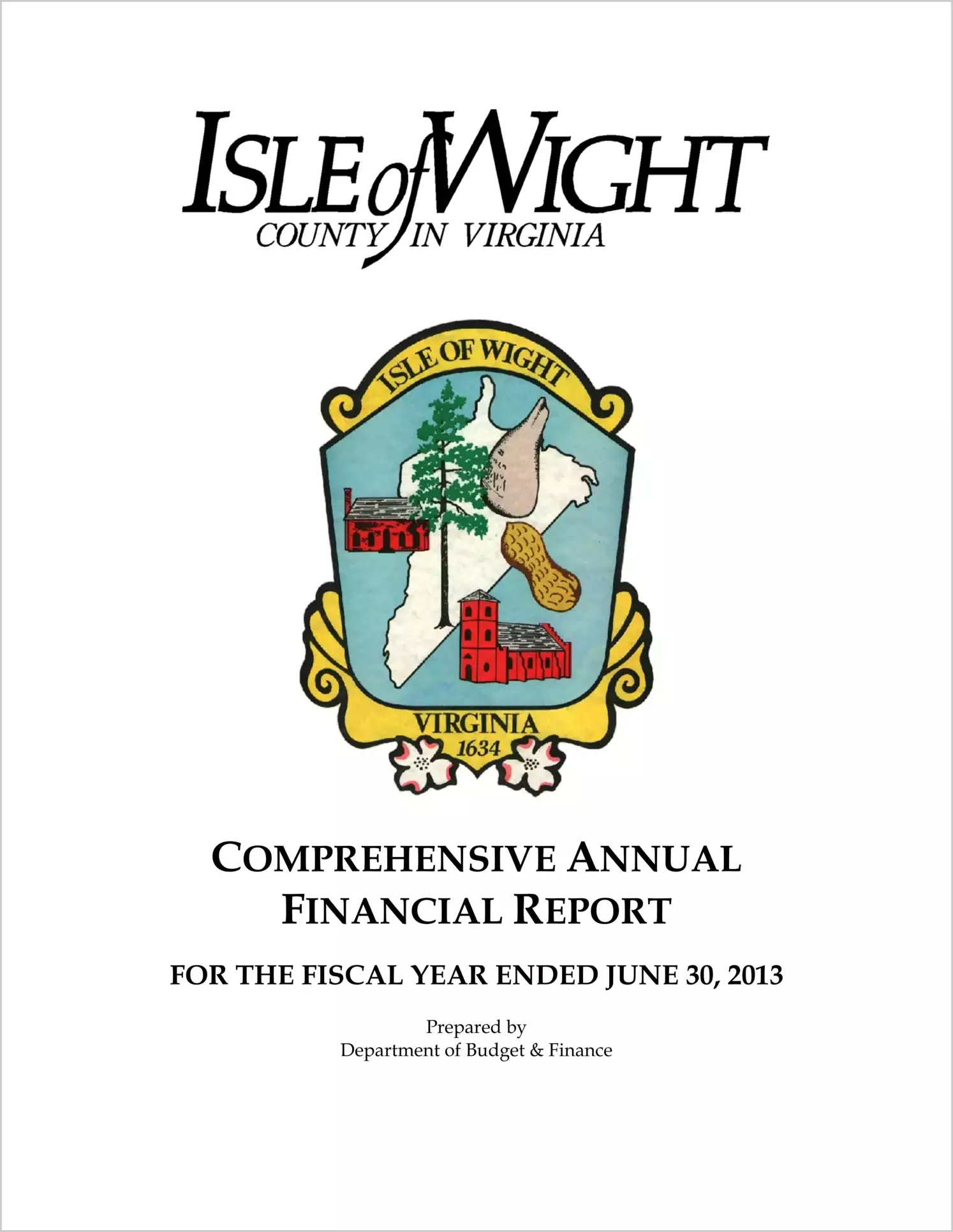 2013 Annual Financial Report for County of Isle of Wight