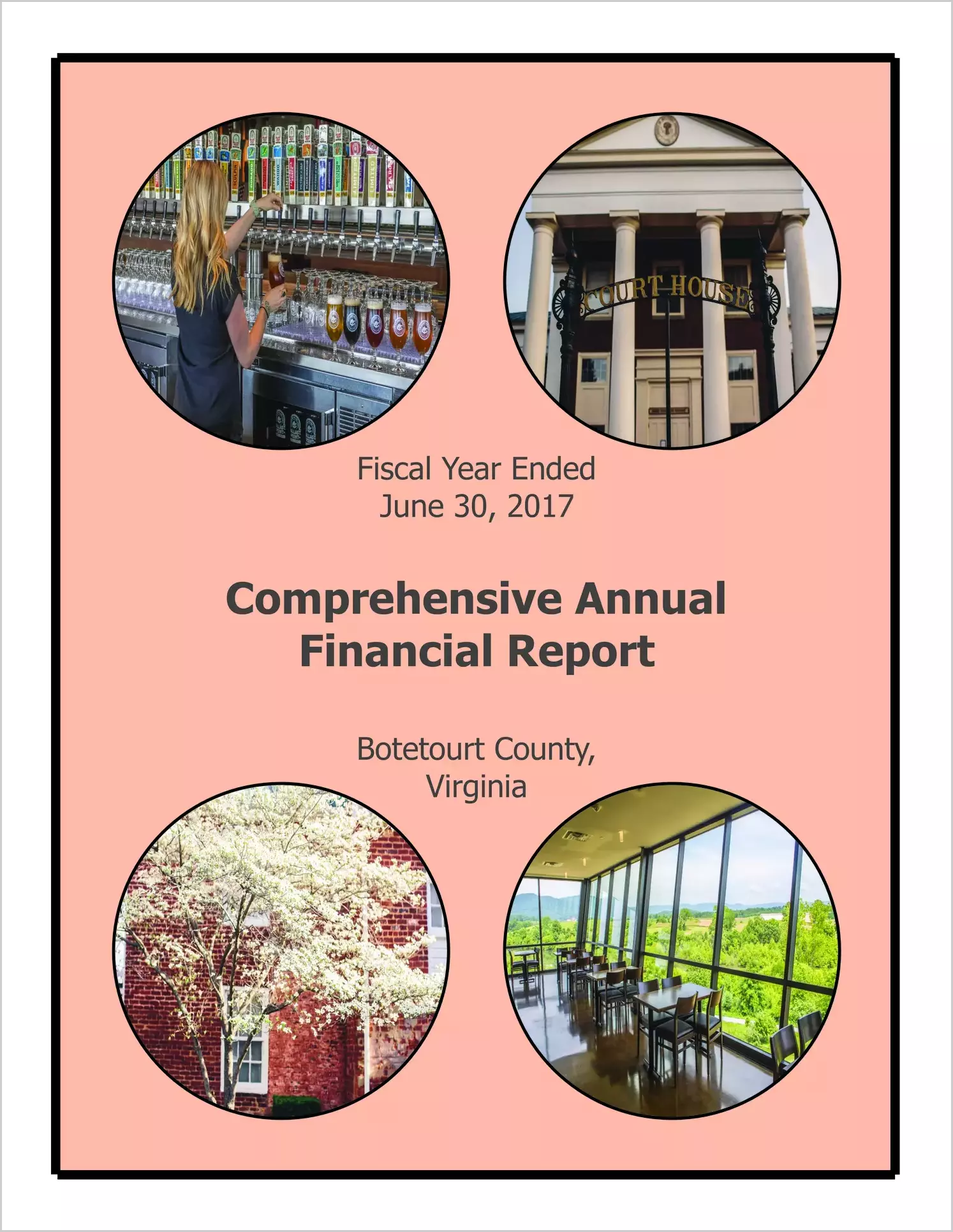 2017 Annual Financial Report for County of Botetourt