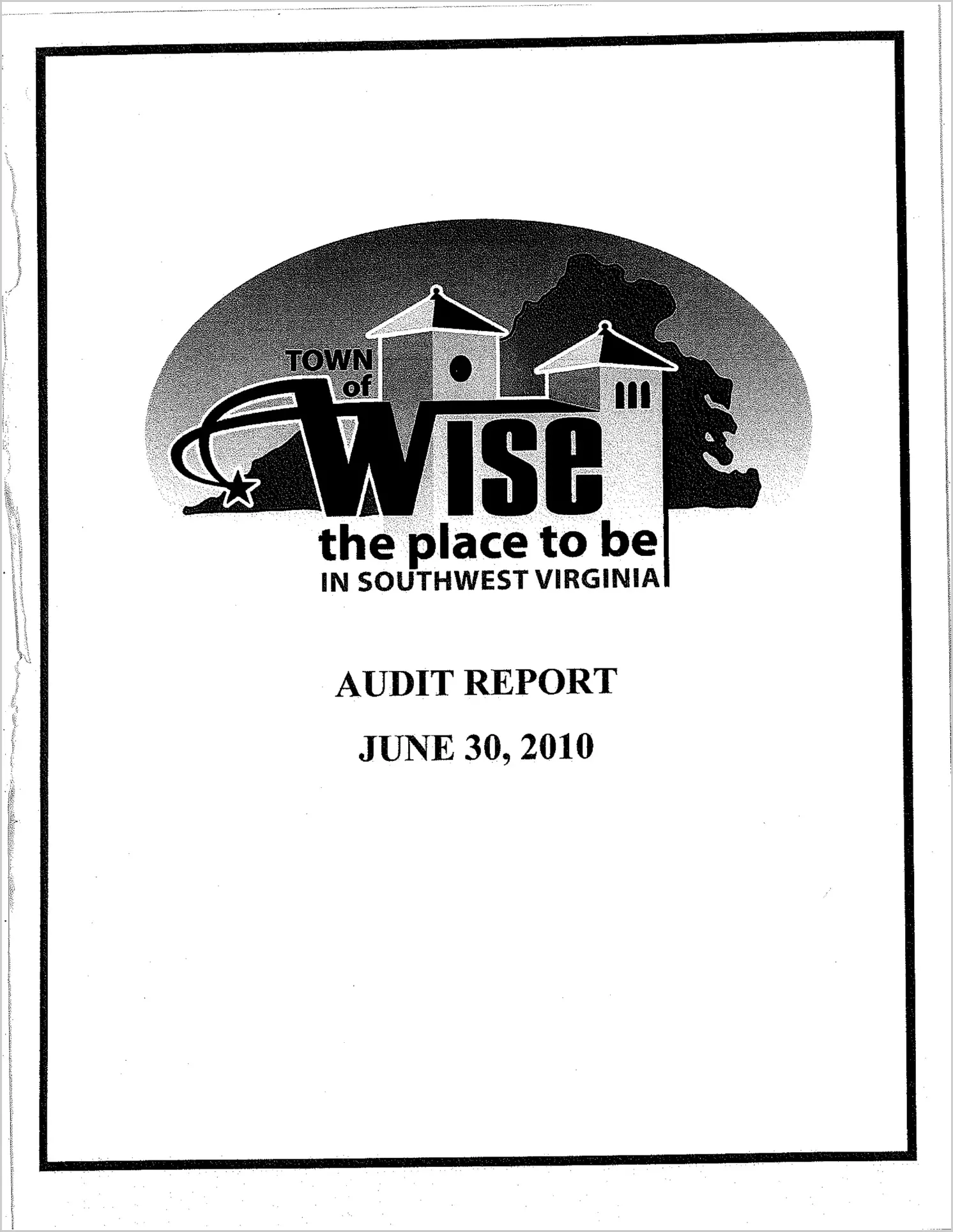 2010 Annual Financial Report for Town of Wise